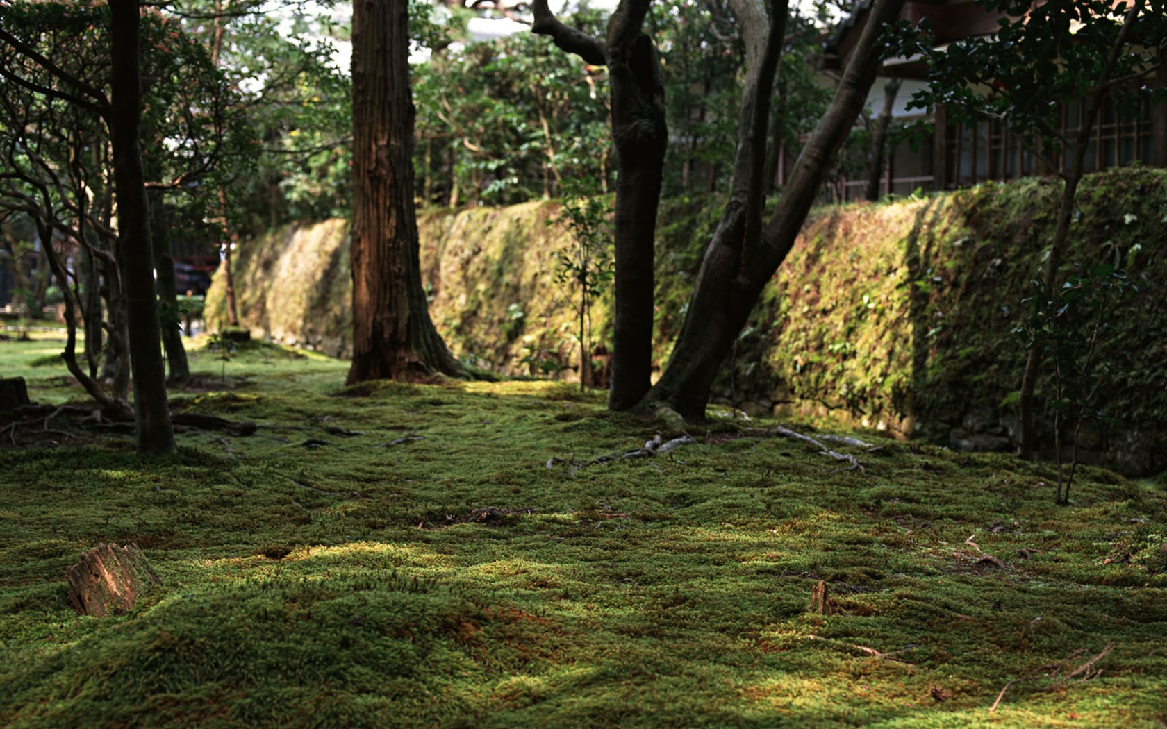Kyoto, Japon, Fonds d'écran Paysage #23 - 1680x1050