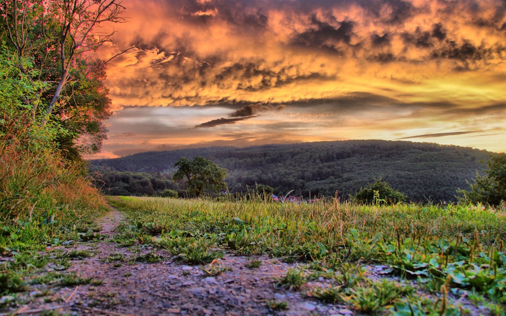 Representación de paisajes Fondos de pantalla HD #33 - 1680x1050