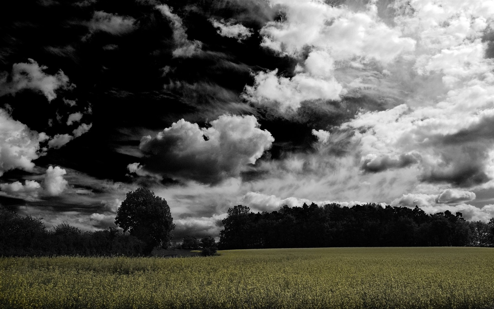 Rendering scenery HD Wallpapers #39 - 1680x1050