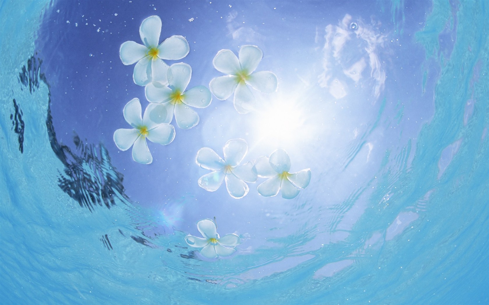Maledivy vody a modrou oblohu #10 - 1680x1050