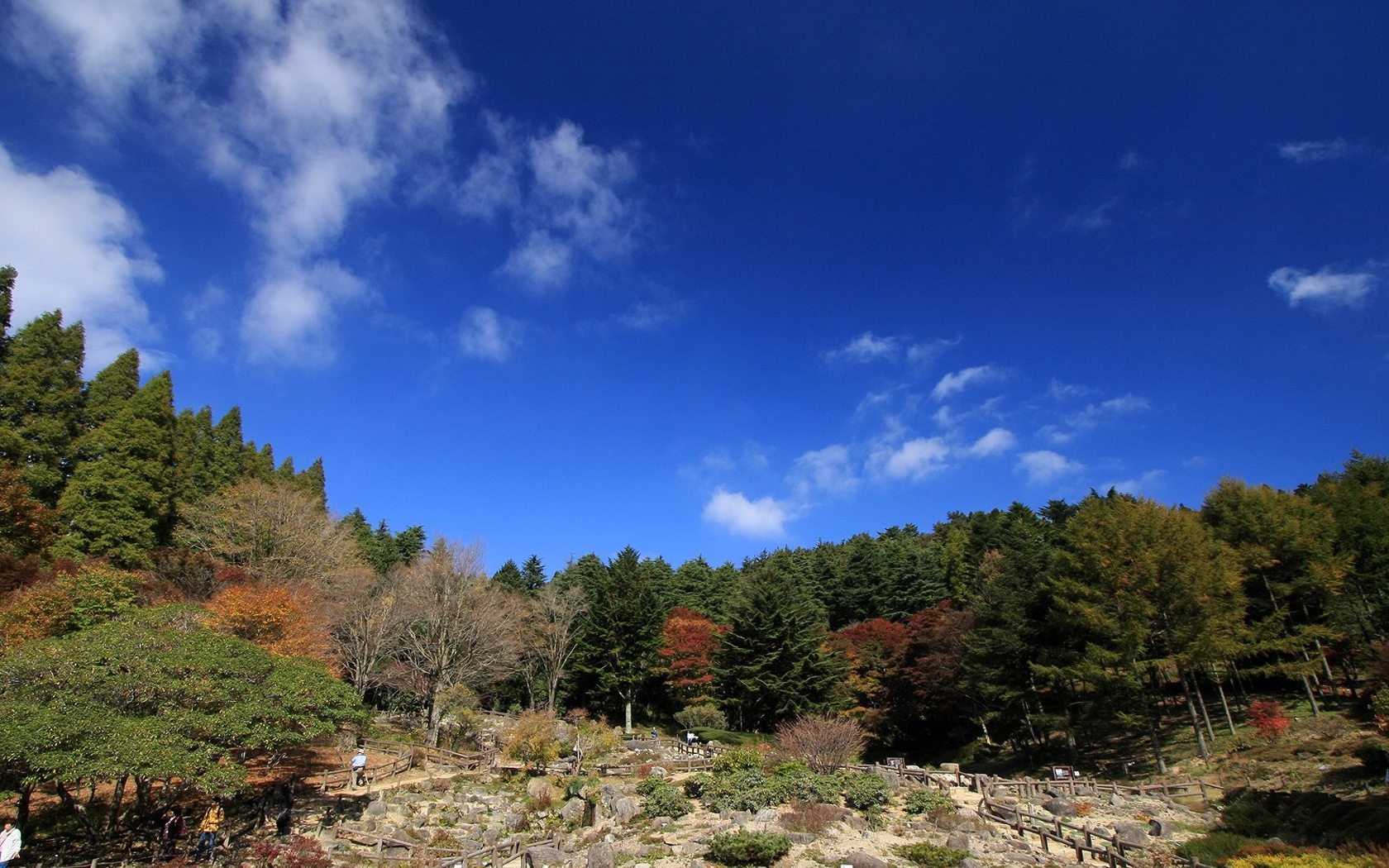 Japan Tour: Montañas Rokko hojas #9 - 1680x1050