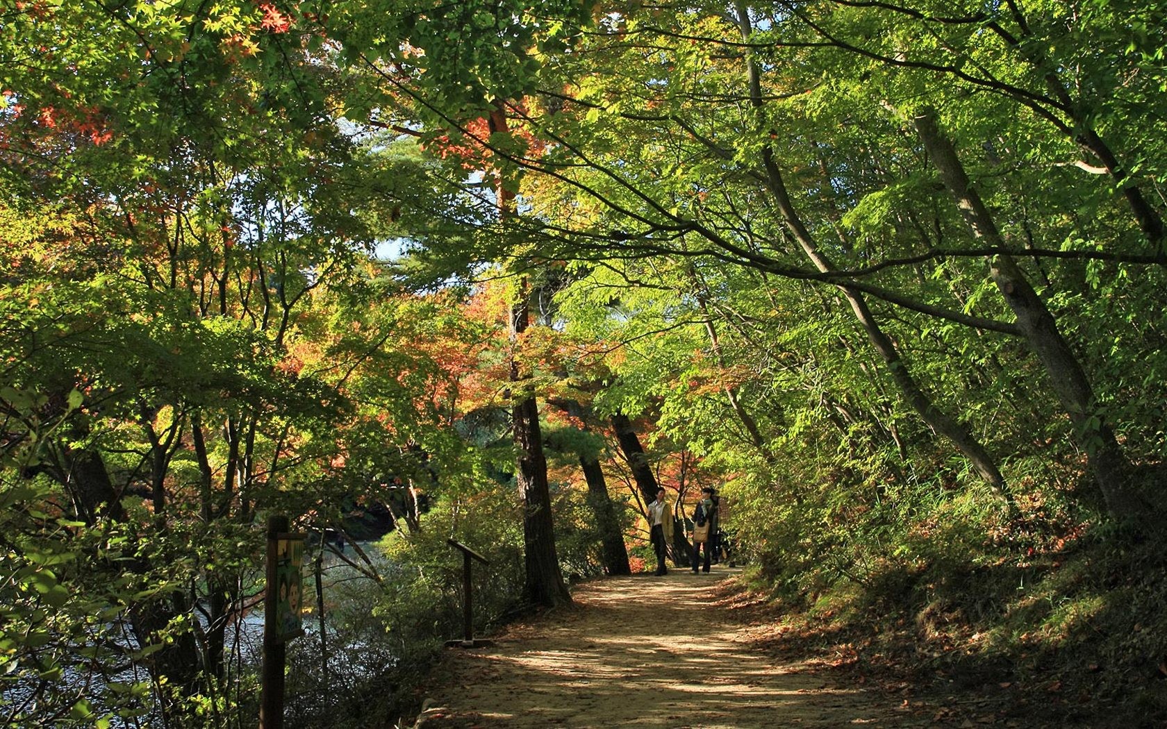 Japan Tour: Rokko Mountain leaves #19 - 1680x1050