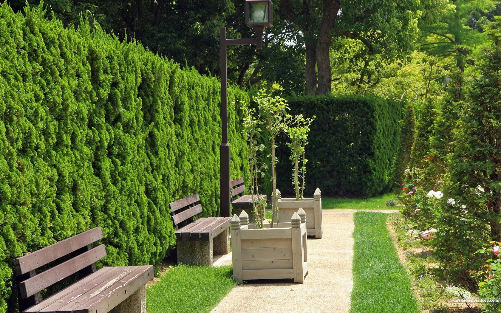 Parc beau fond d'écran #21 - 1680x1050