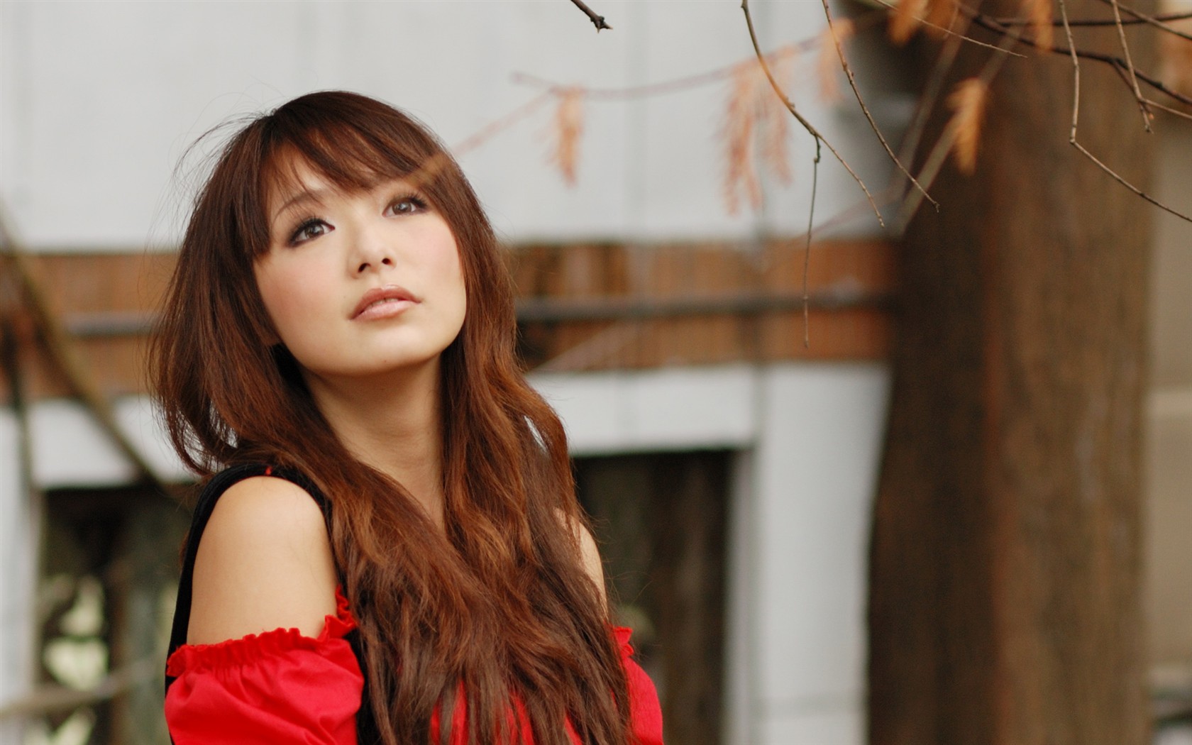 Tchaj-wan MM Yin Fu wallpaper album (3) #1 - 1680x1050
