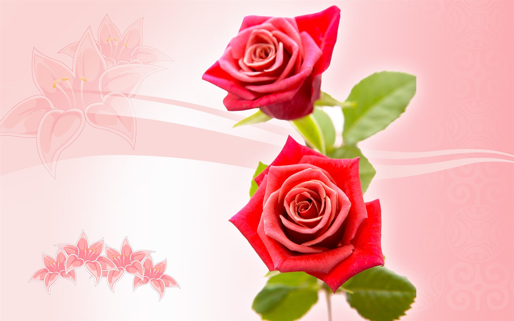 Synthesis of fine flowers #3 - 1680x1050
