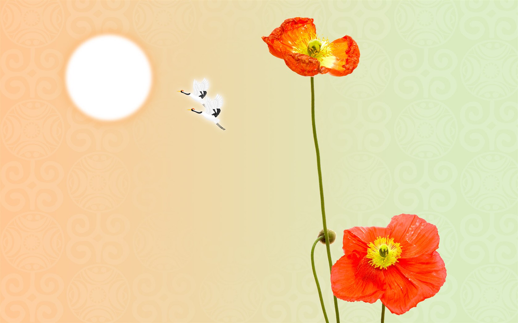 Synthesis of fine flowers #10 - 1680x1050