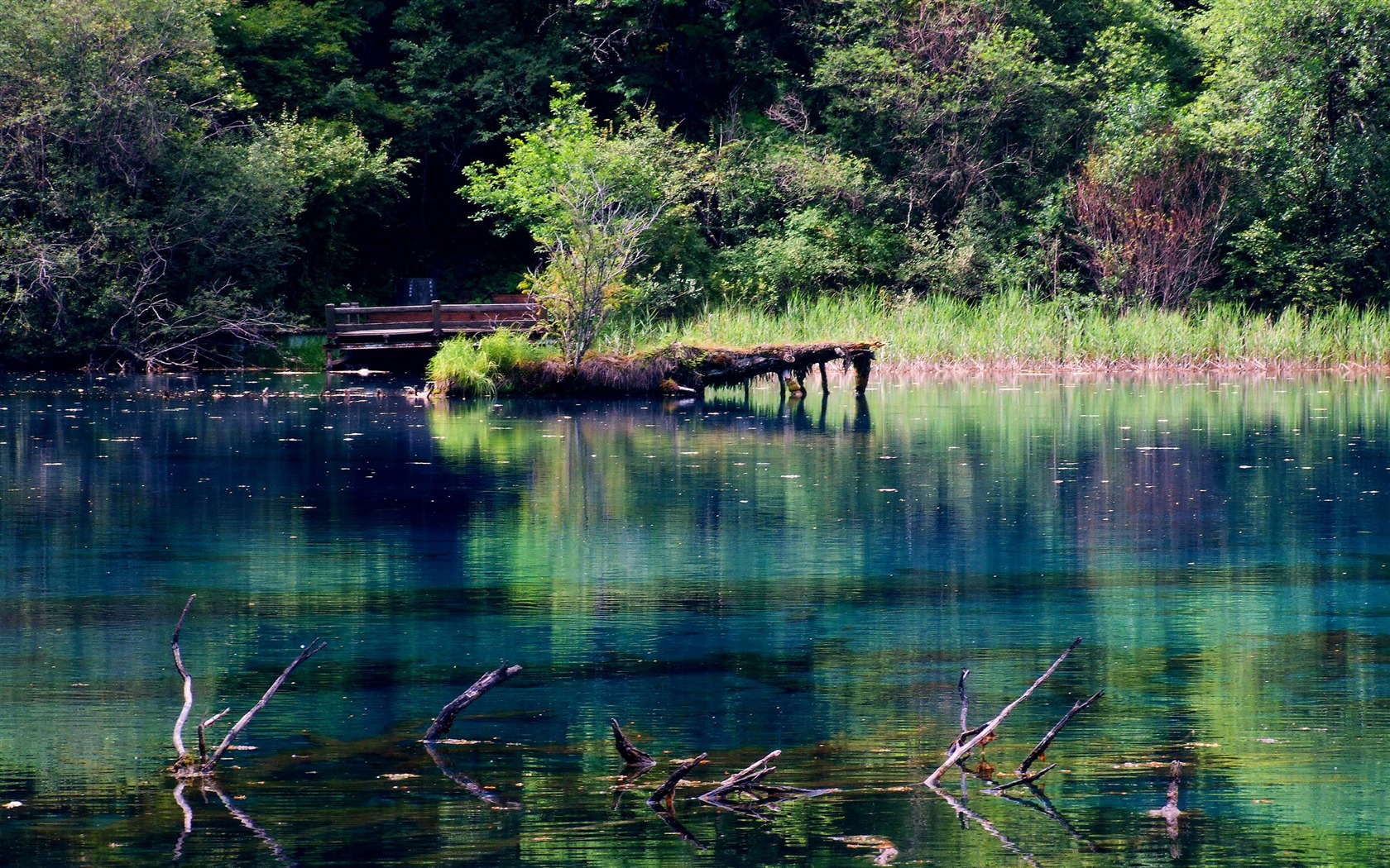 Aba sběru lidových písní (2) (červi každý den práce) #11 - 1680x1050