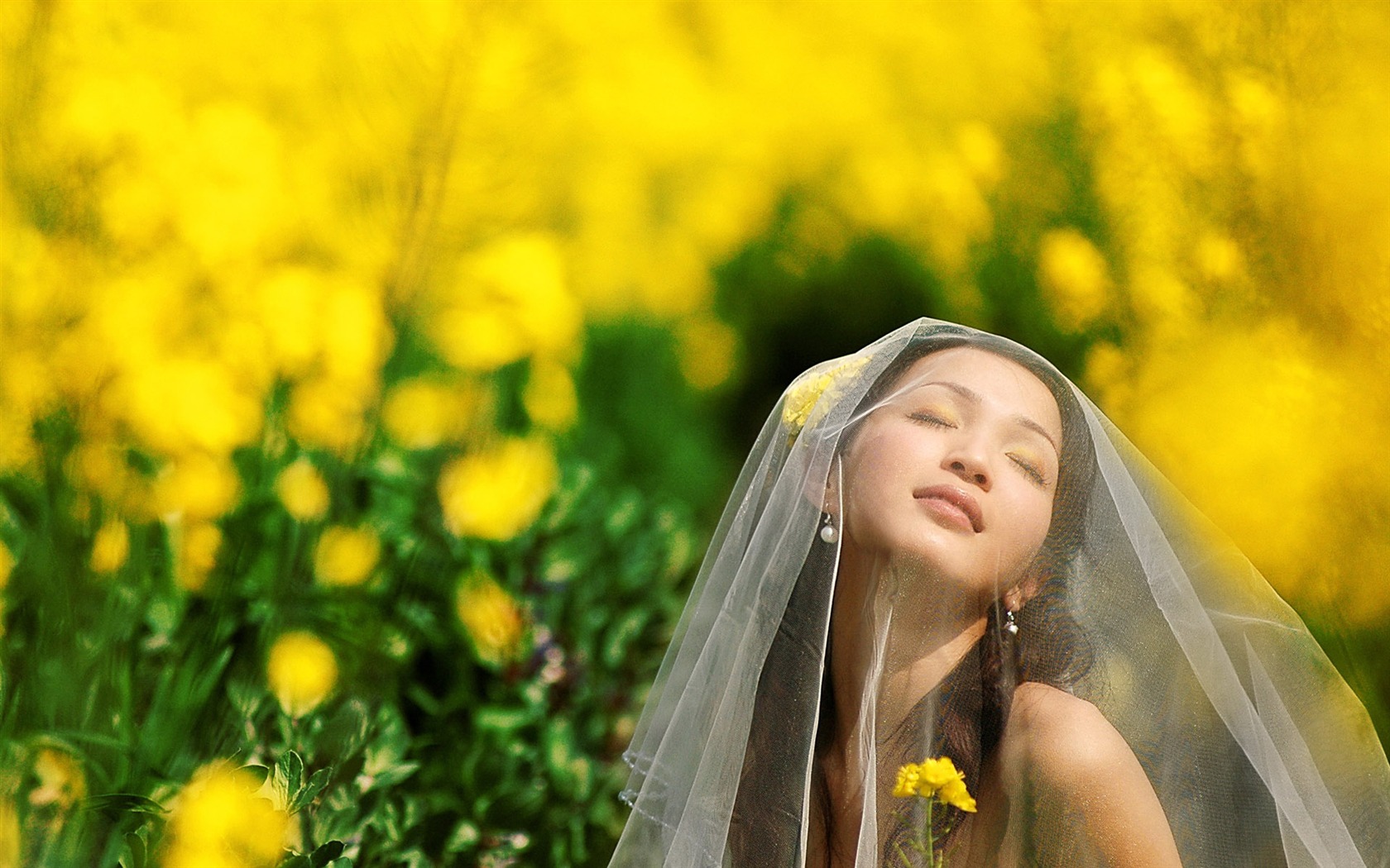 Beautiful Wedding Bride #10 - 1680x1050