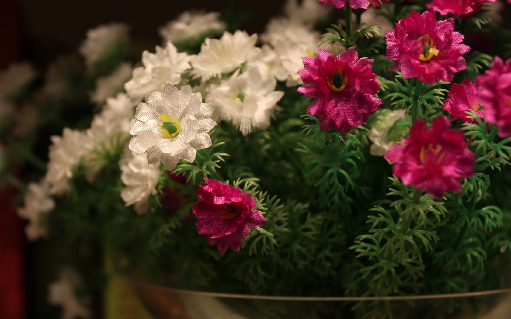 Canon EOS 40D proofs Wallpaper #7 - 1680x1050