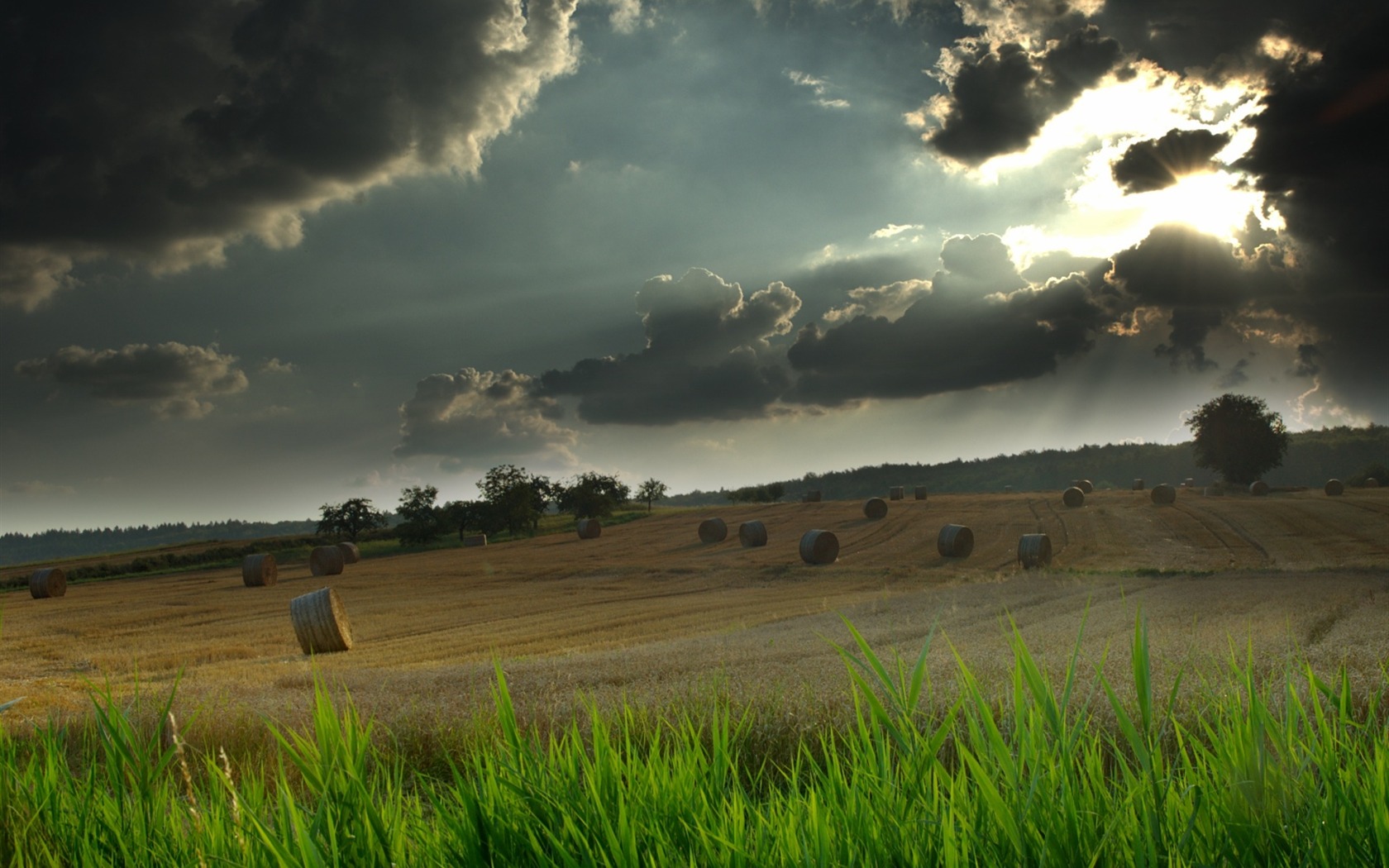 Cool scenery Wallpaper #13 - 1680x1050