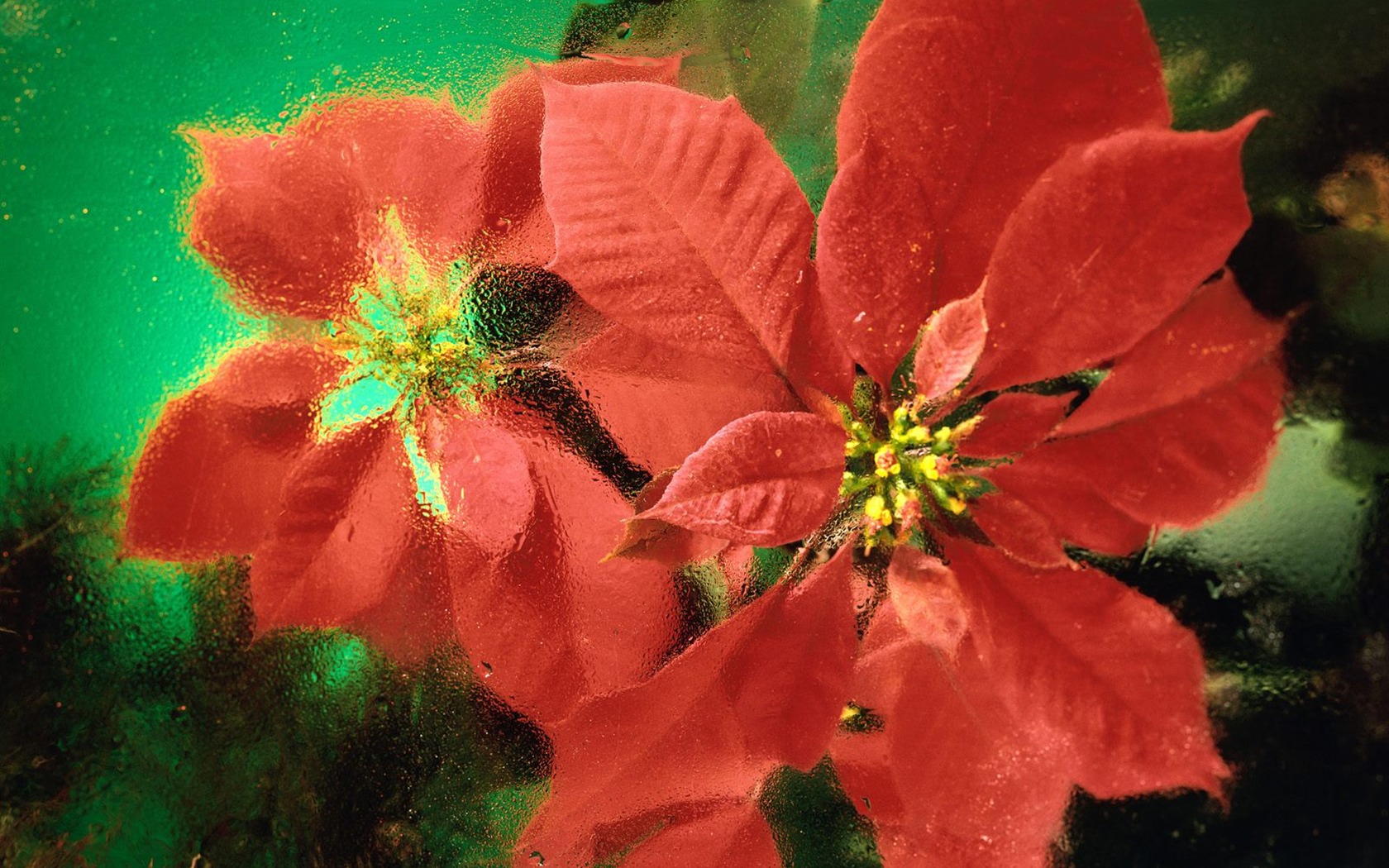 vánoční krajiny série tapetu (3) #19 - 1680x1050