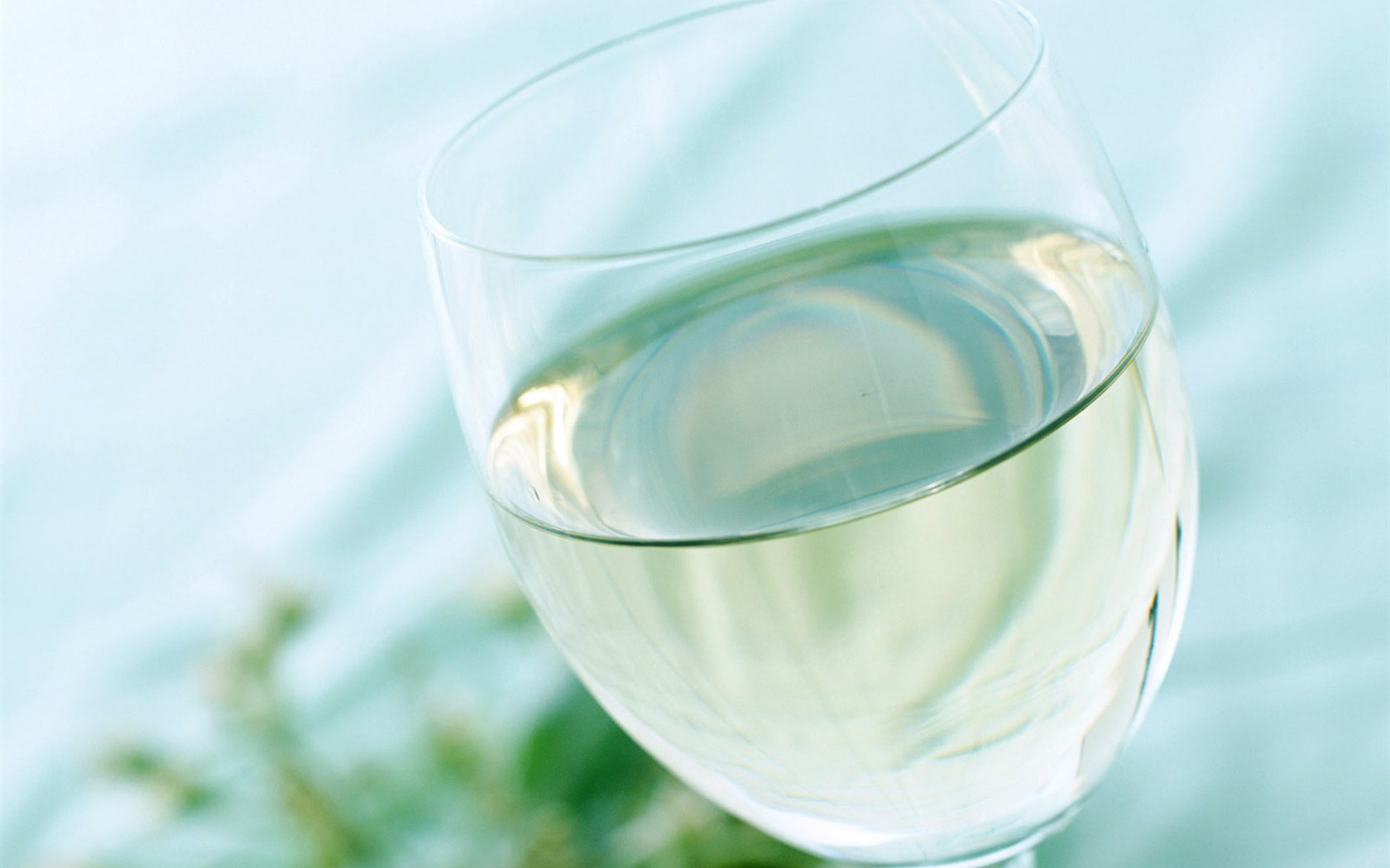 Drinks and wine wallpaper #12 - 1680x1050
