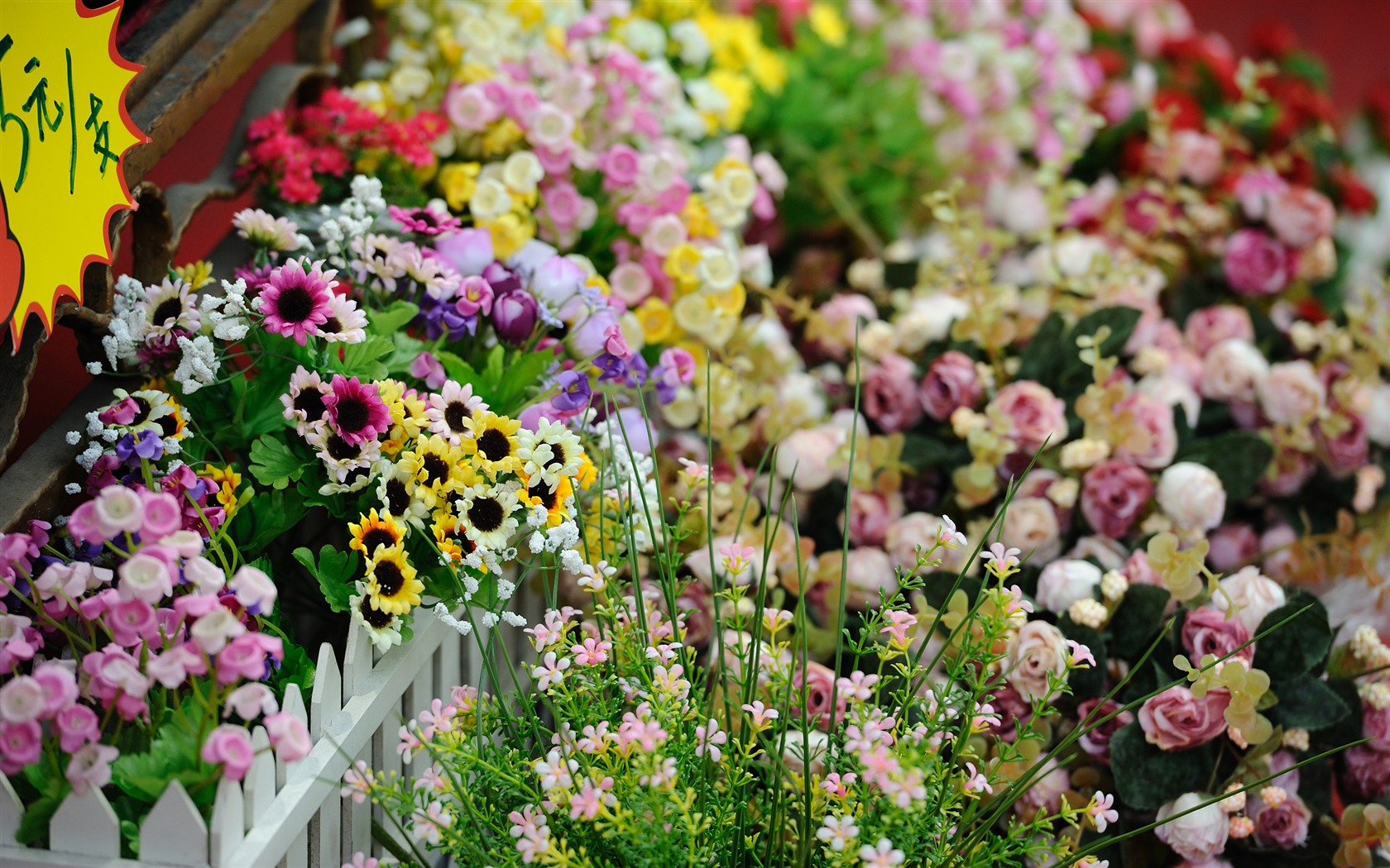 Nikon D700 proofs Wallpaper #16 - 1680x1050