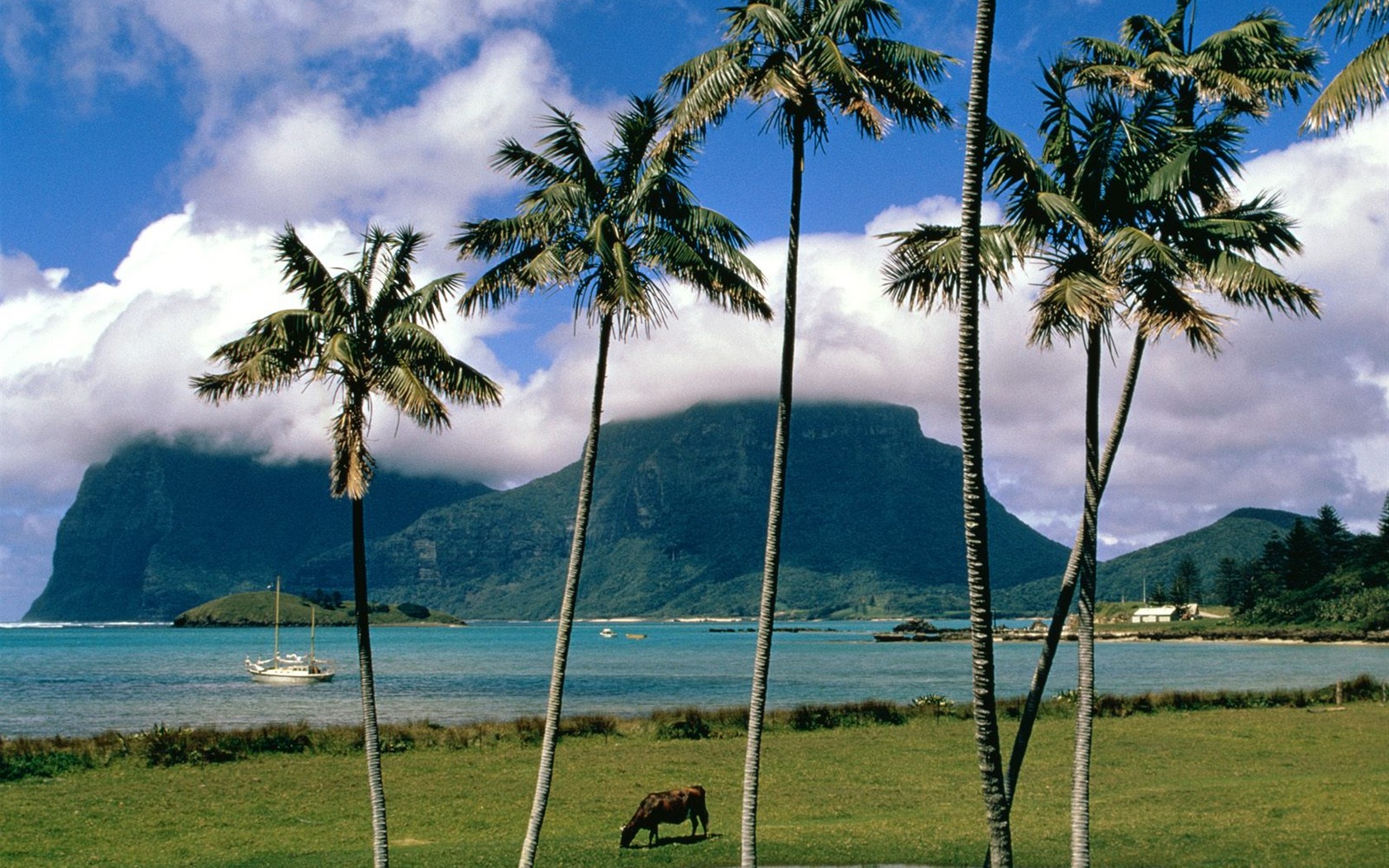 Features schöne Landschaft von Australien #28 - 1680x1050