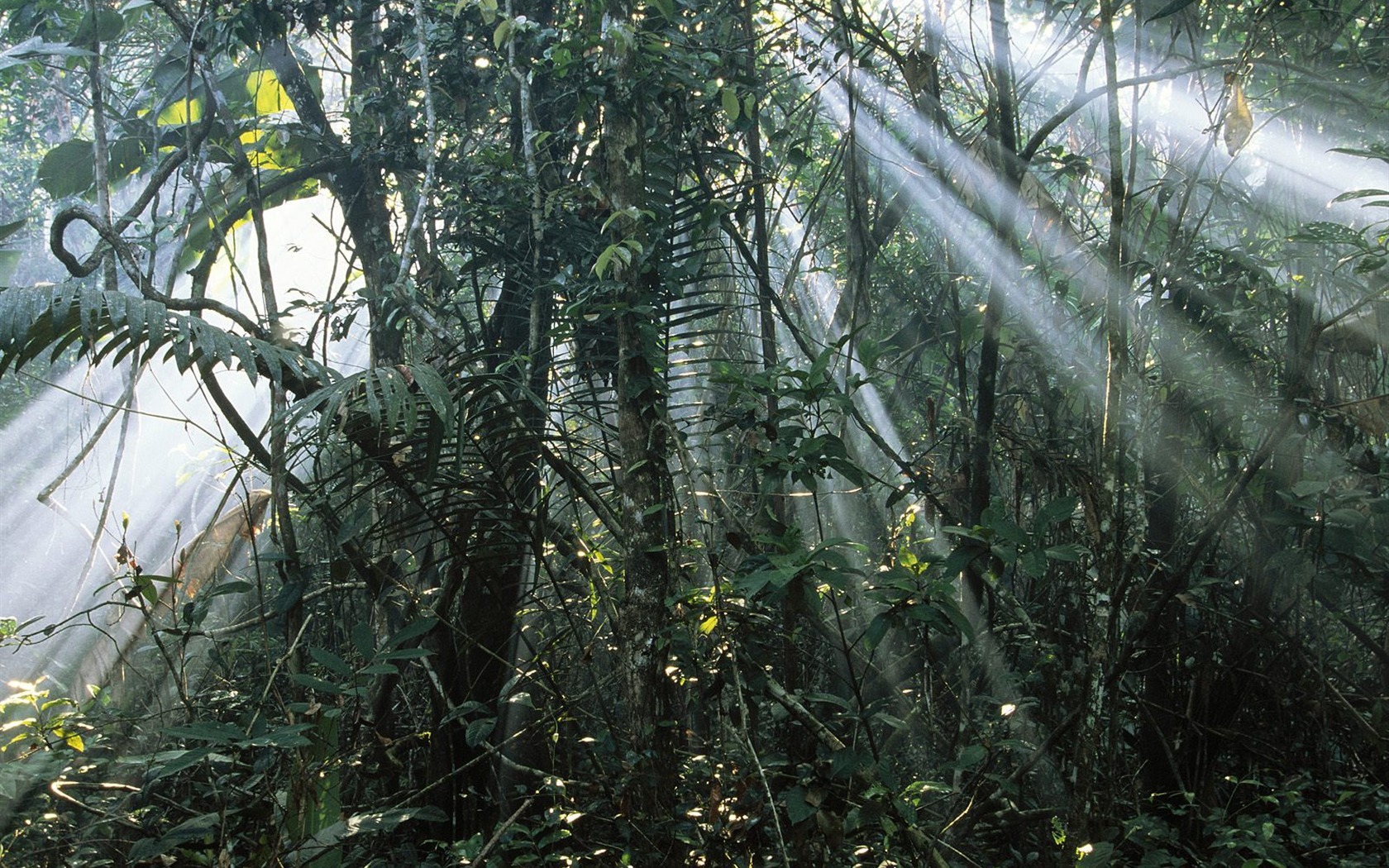 Webshots Scenery Wallpapers (1) #23 - 1680x1050