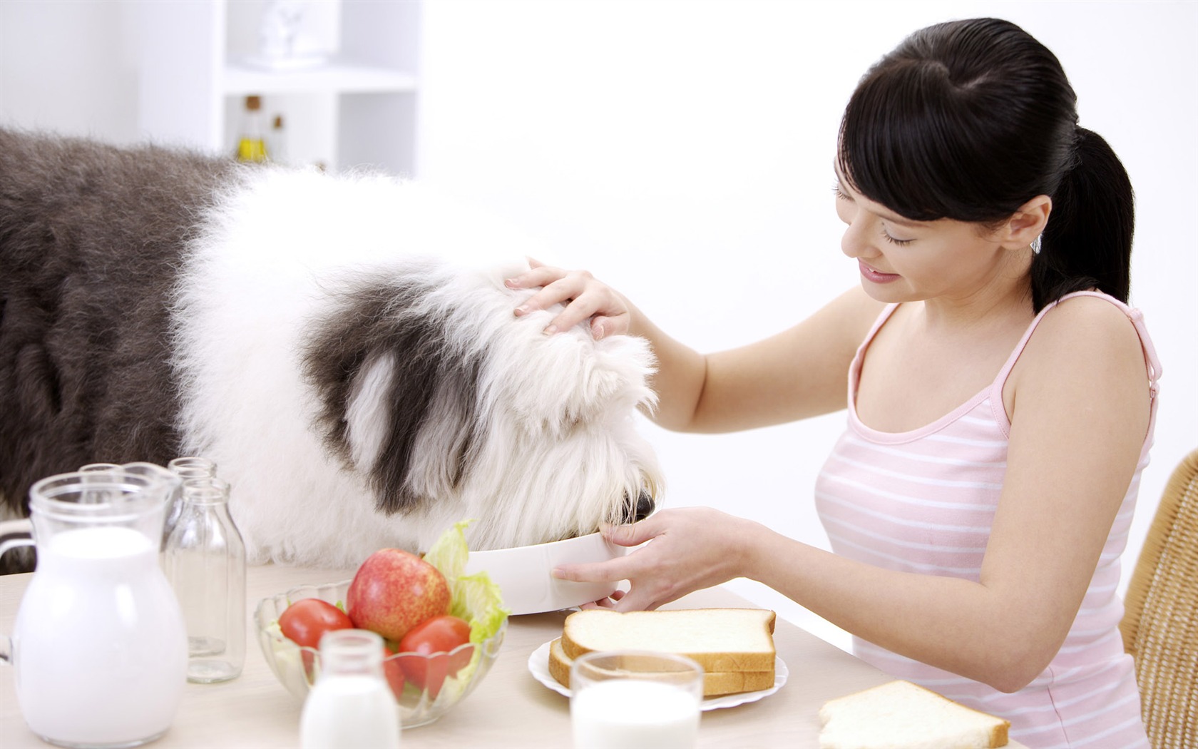 Beauty and the pet HD wallpaper #18 - 1680x1050