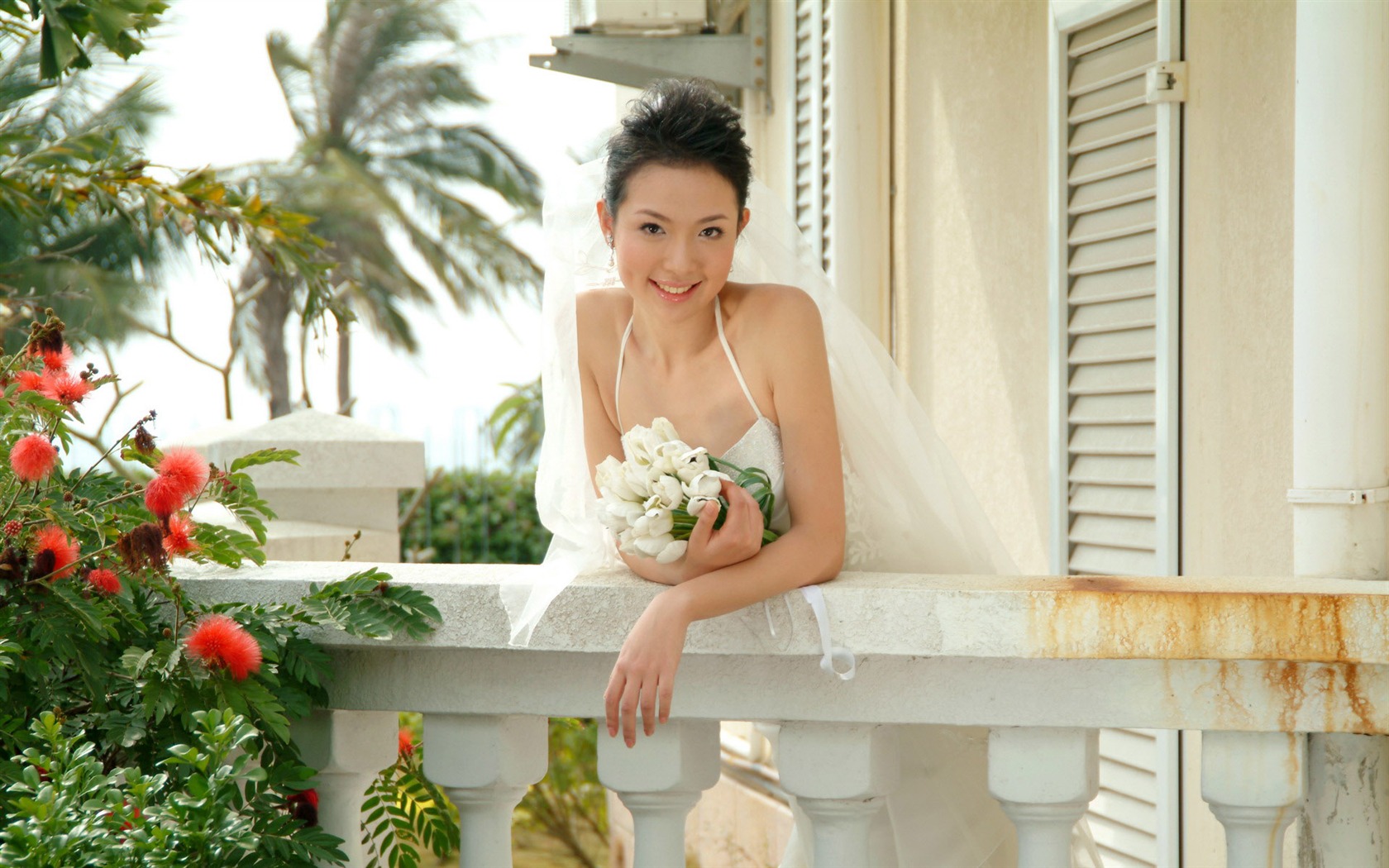 Hermosa fotografía de fondo de pantalla de la boda #24 - 1680x1050