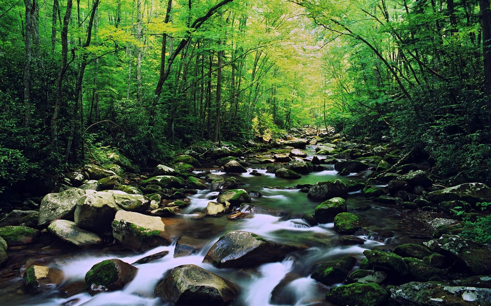 Webshots Scenery Wallpapers (2) #2 - 1680x1050