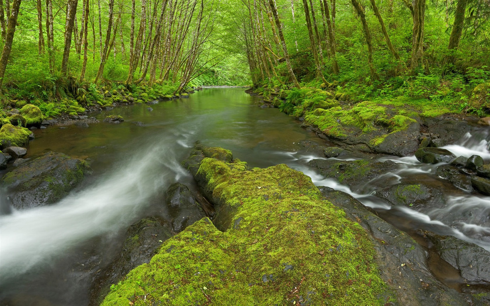 Water streams HD Wallpapers #11 - 1680x1050