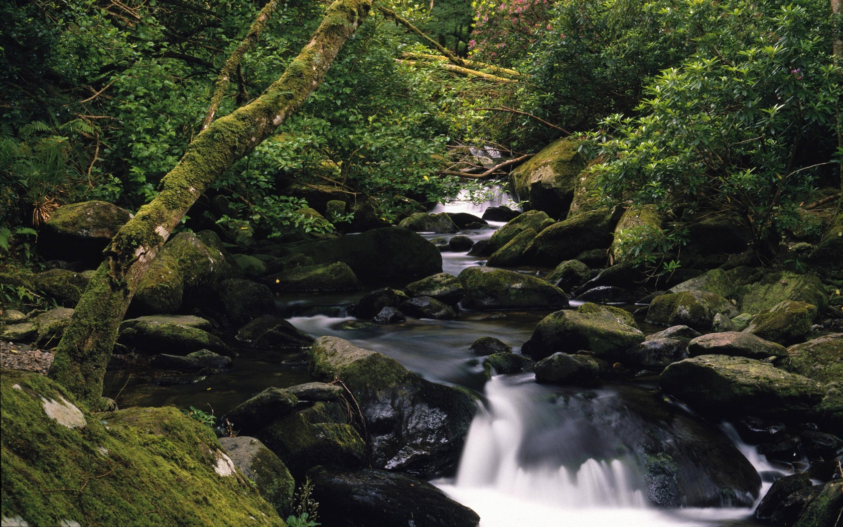 Water streams HD Wallpapers #14 - 1680x1050