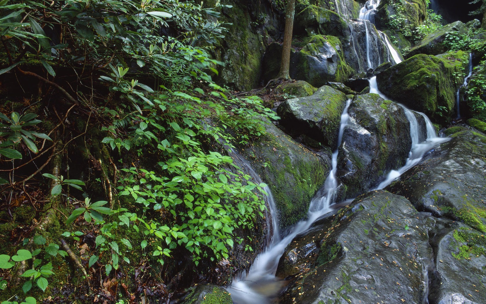 Water streams HD Wallpapers #33 - 1680x1050