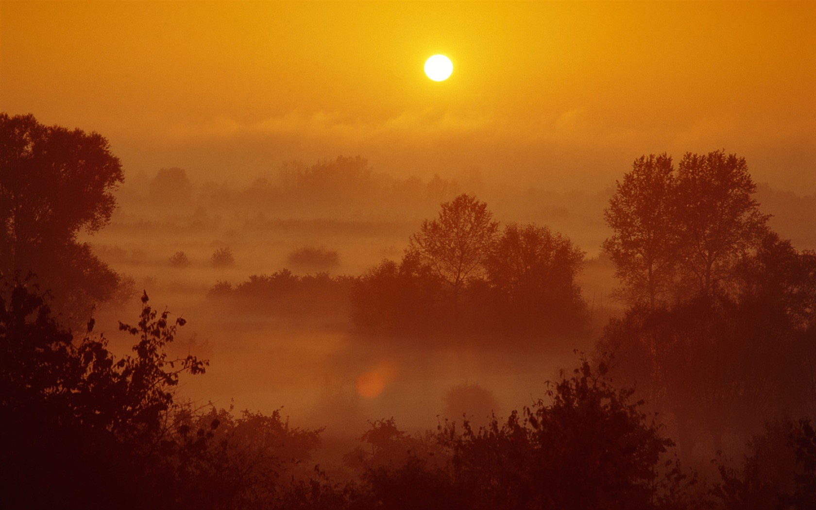 Windows7 official scenic wallpaper #29 - 1680x1050