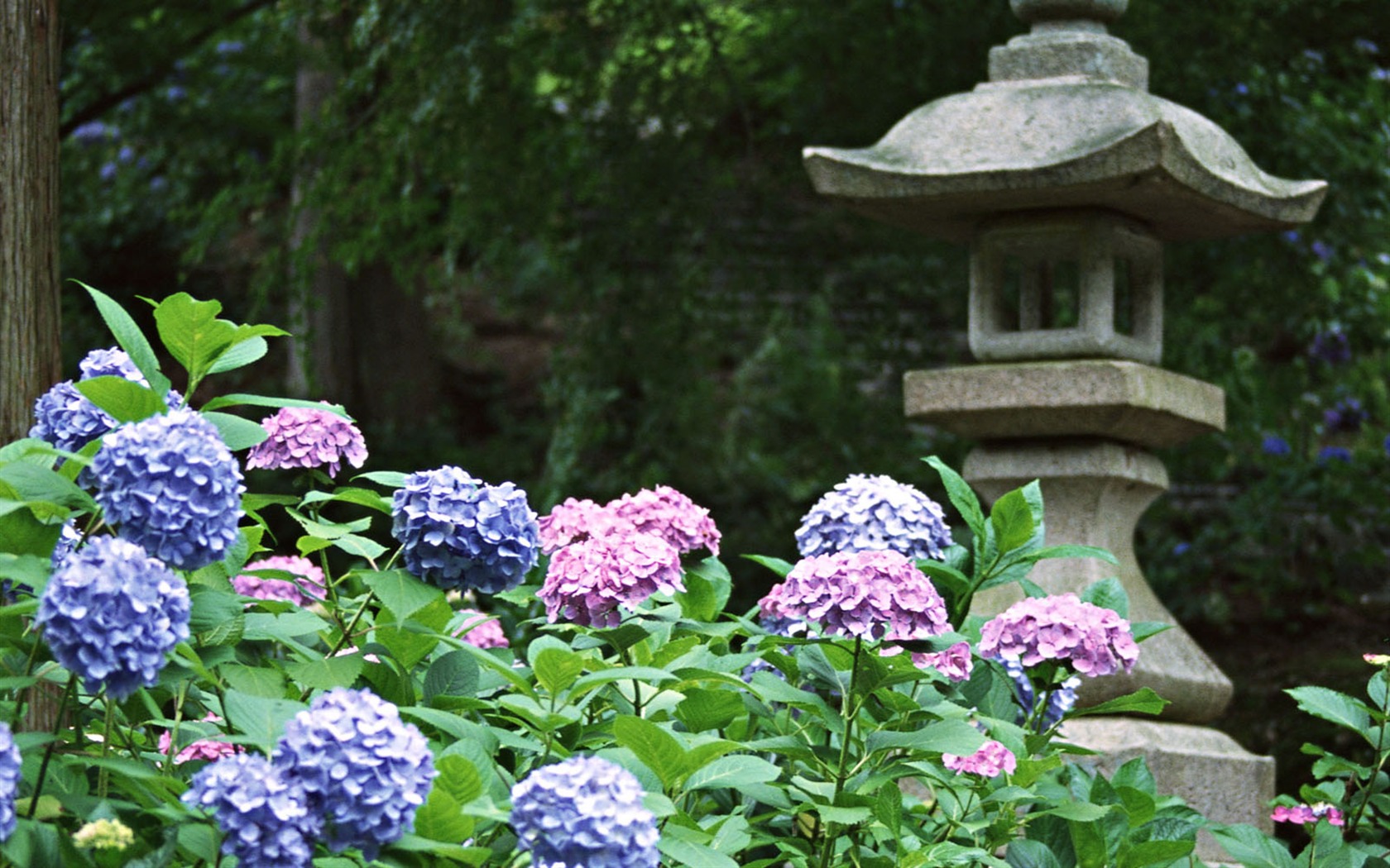 Japonsko zvláštní kulturní wallpaper #7 - 1680x1050