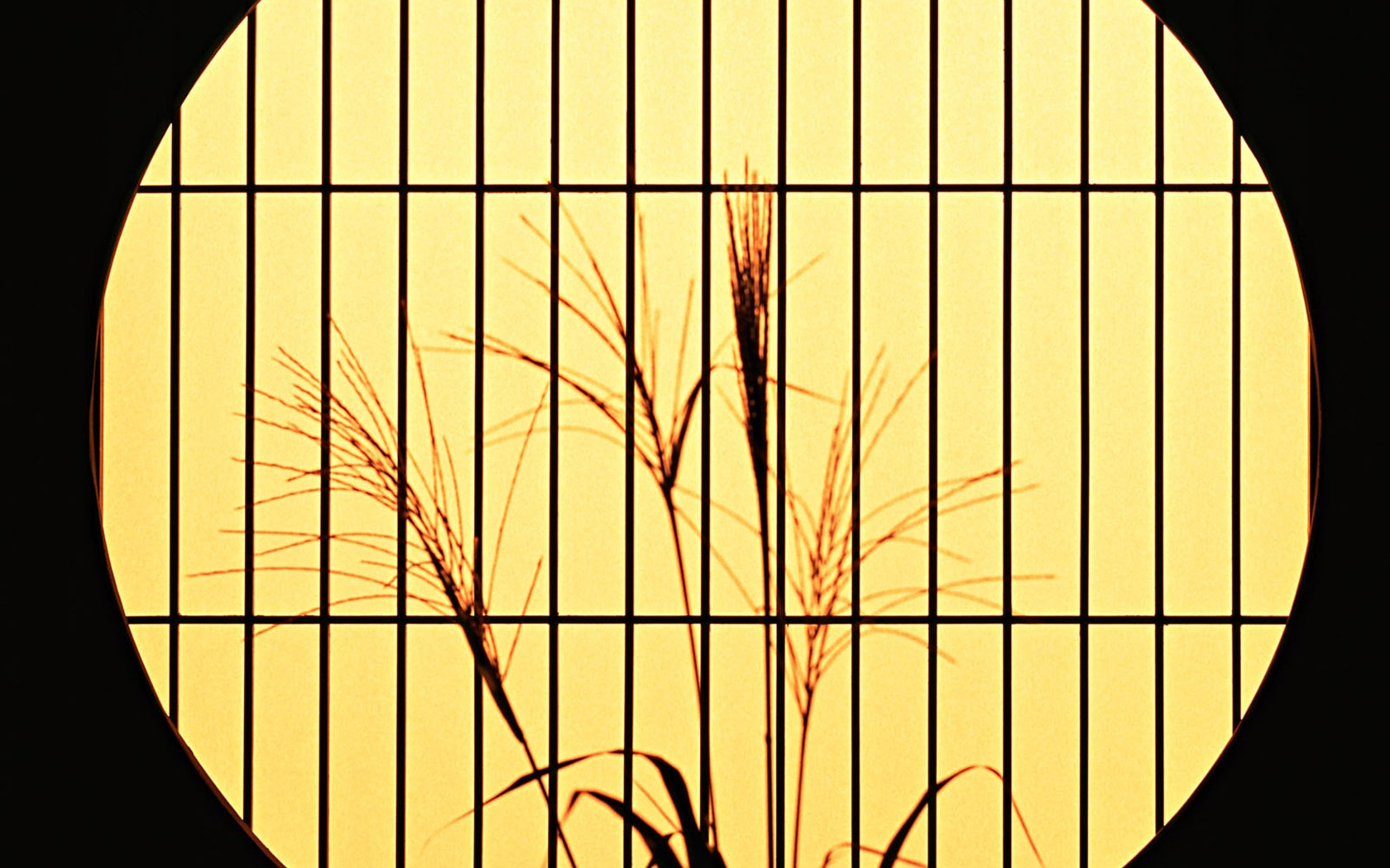 Japonsko zvláštní kulturní wallpaper #50 - 1680x1050