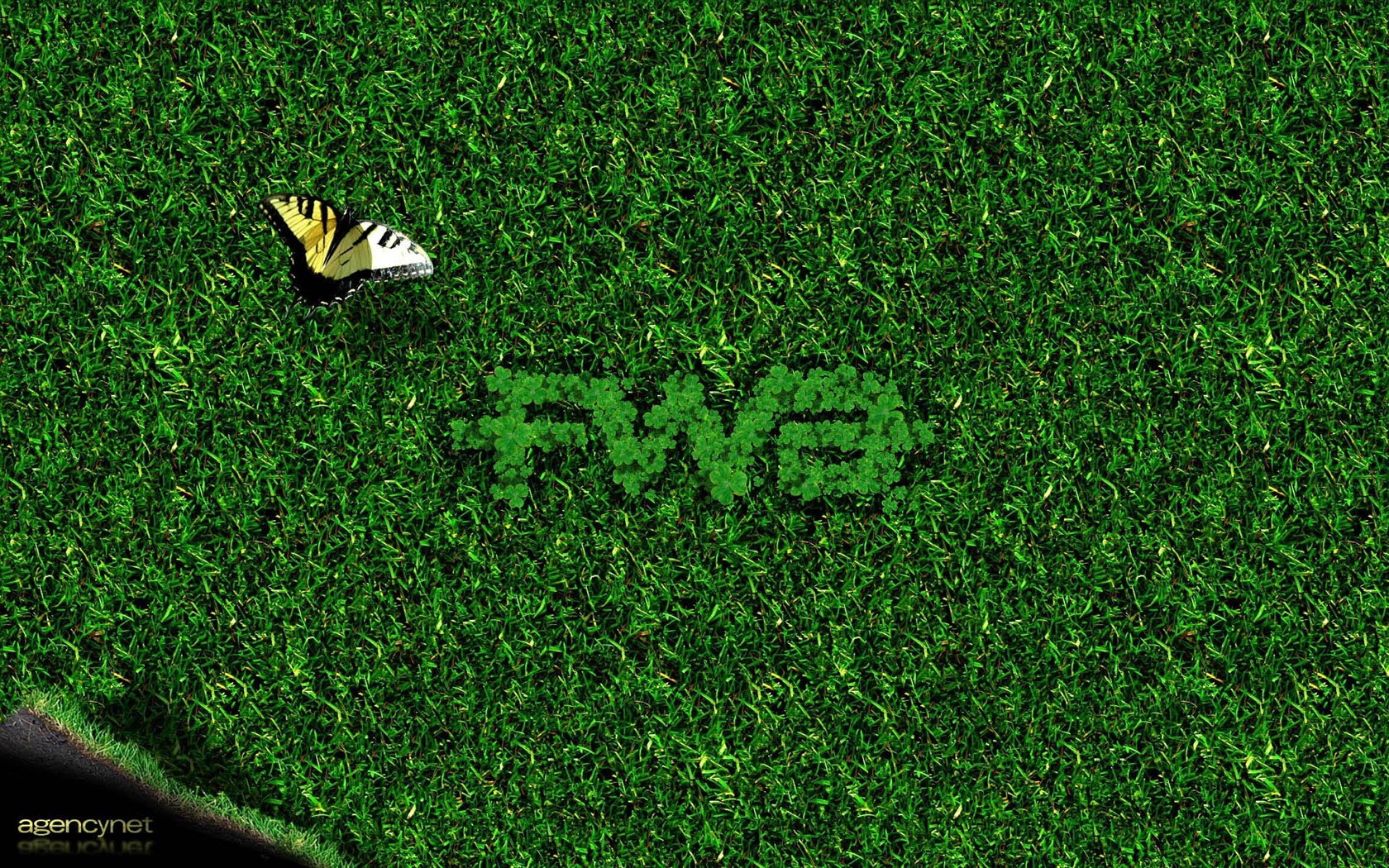 Širokoúhlé tapety FWA Album #4 - 1680x1050