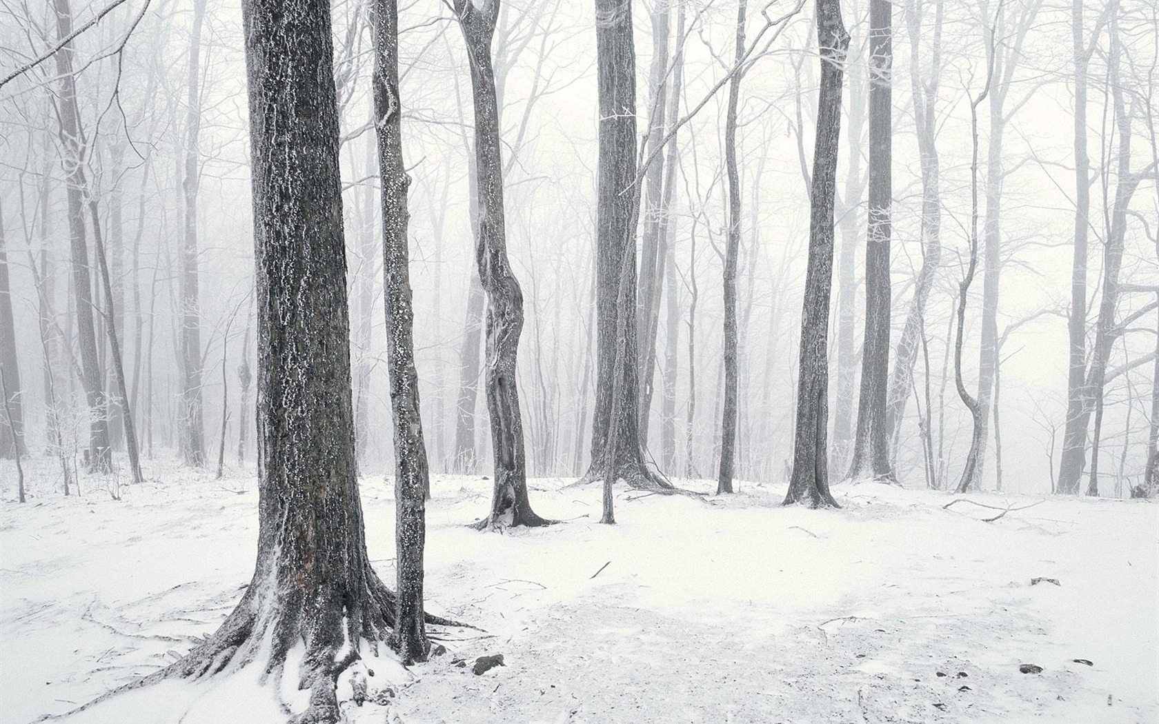 nádherné přírodní scenérie HD Tapety na plochu #25 - 1680x1050