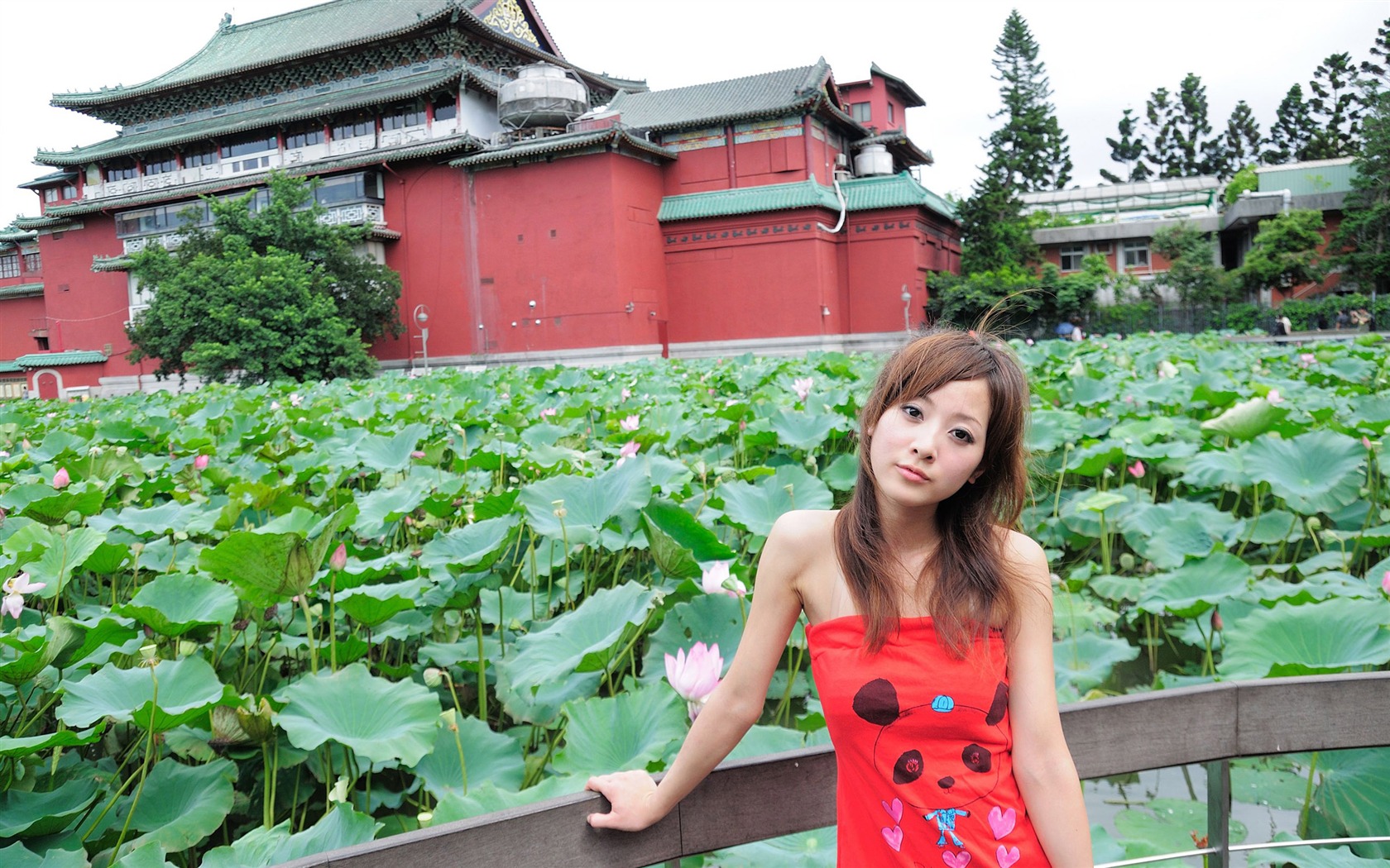 Taiwan MM fruit wallpaper album (3) #7 - 1680x1050