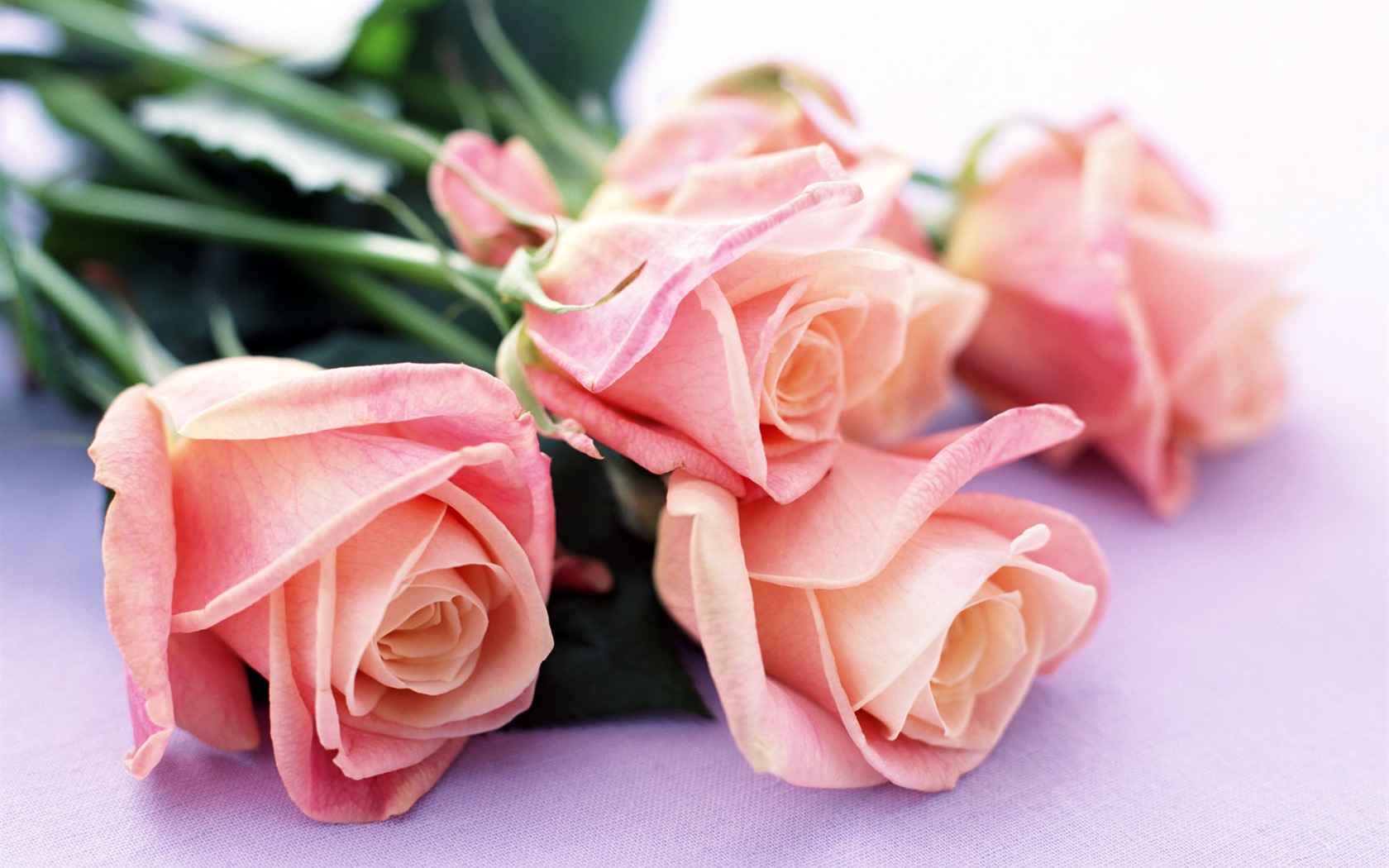 Room, exquisite flower wallpaper #1 - 1680x1050