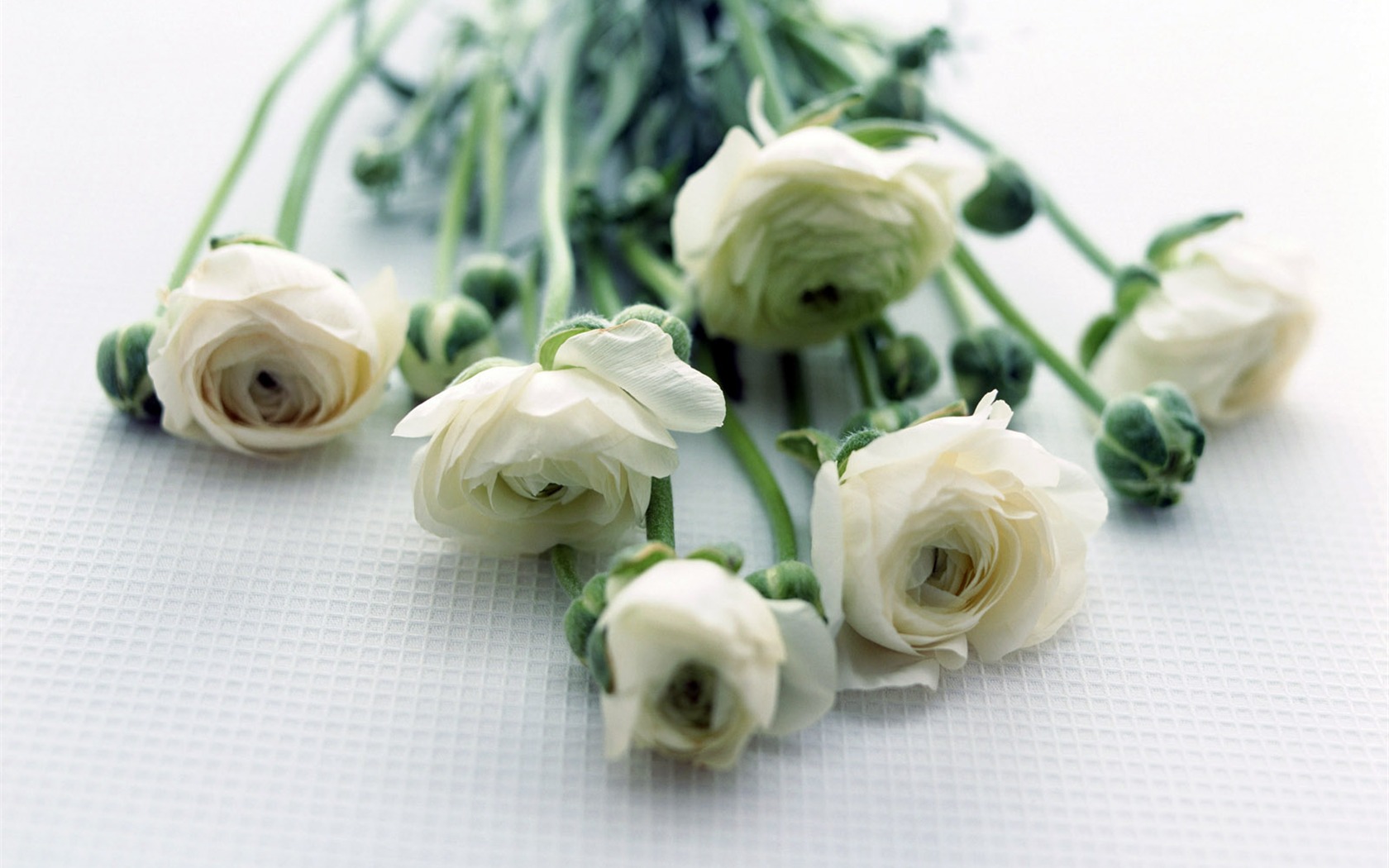 Room, exquisite flower wallpaper #16 - 1680x1050