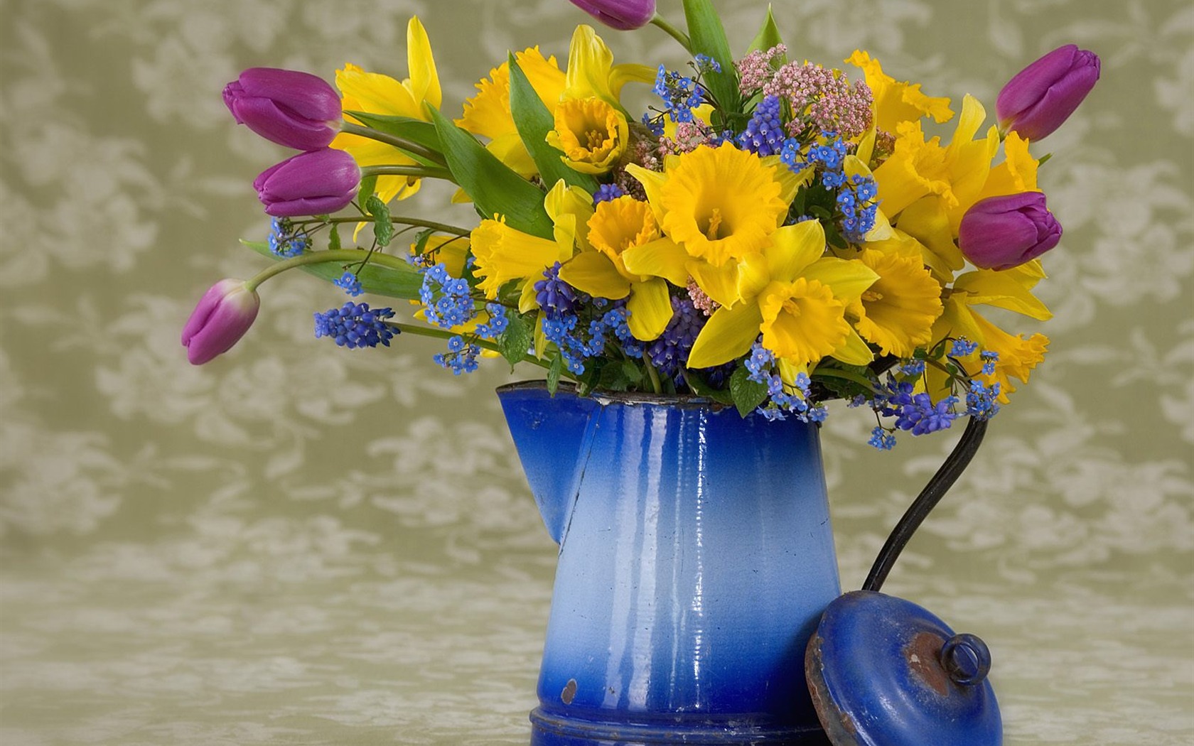 Flowers close-up (5) #17 - 1680x1050
