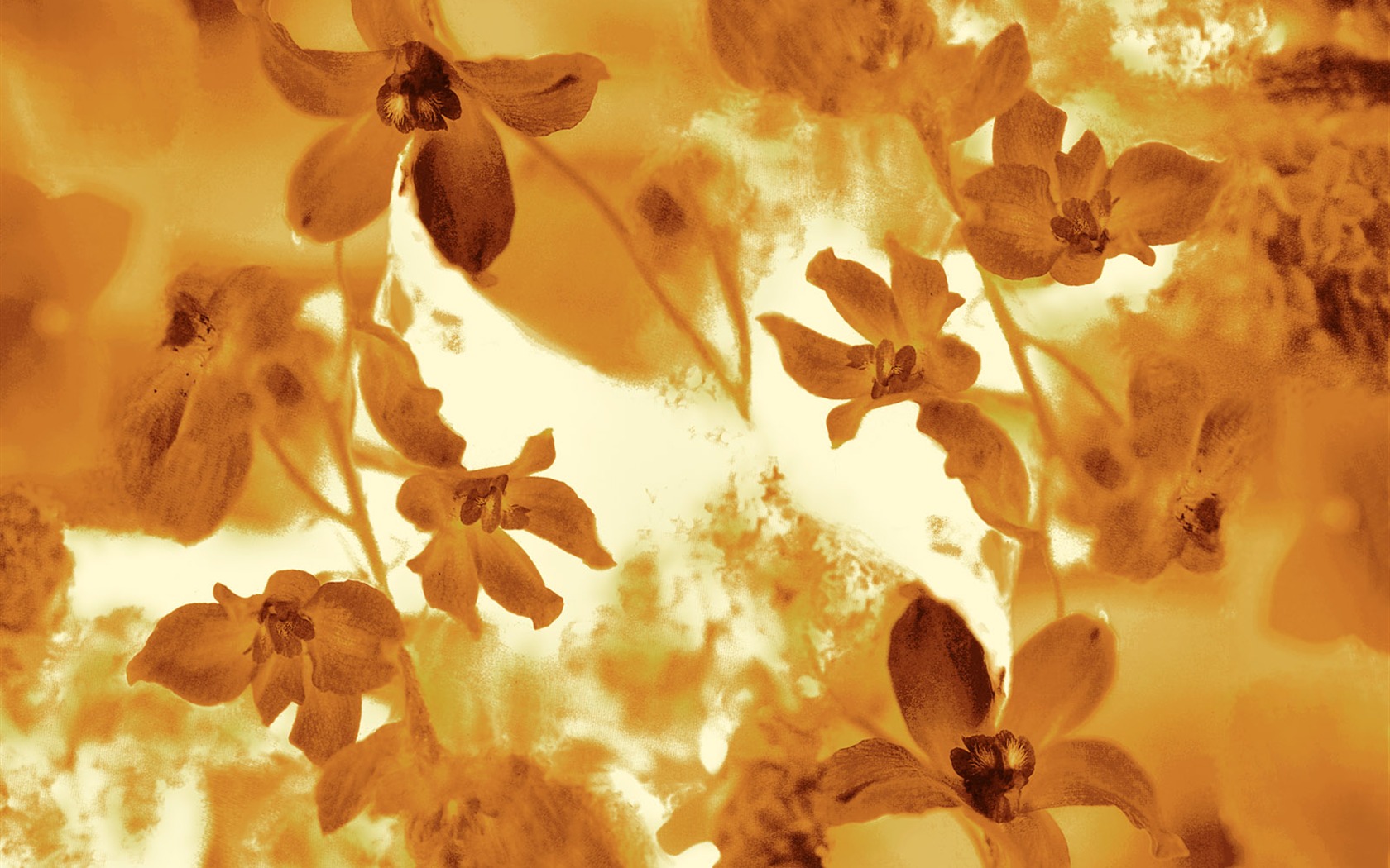 Exquisite Ink Flower Wallpapers #15 - 1680x1050