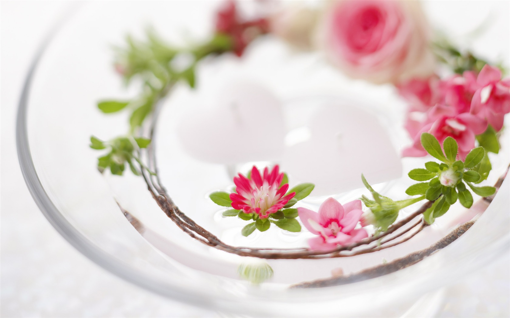 Flowers Gifts HD Wallpapers (1) #12 - 1680x1050