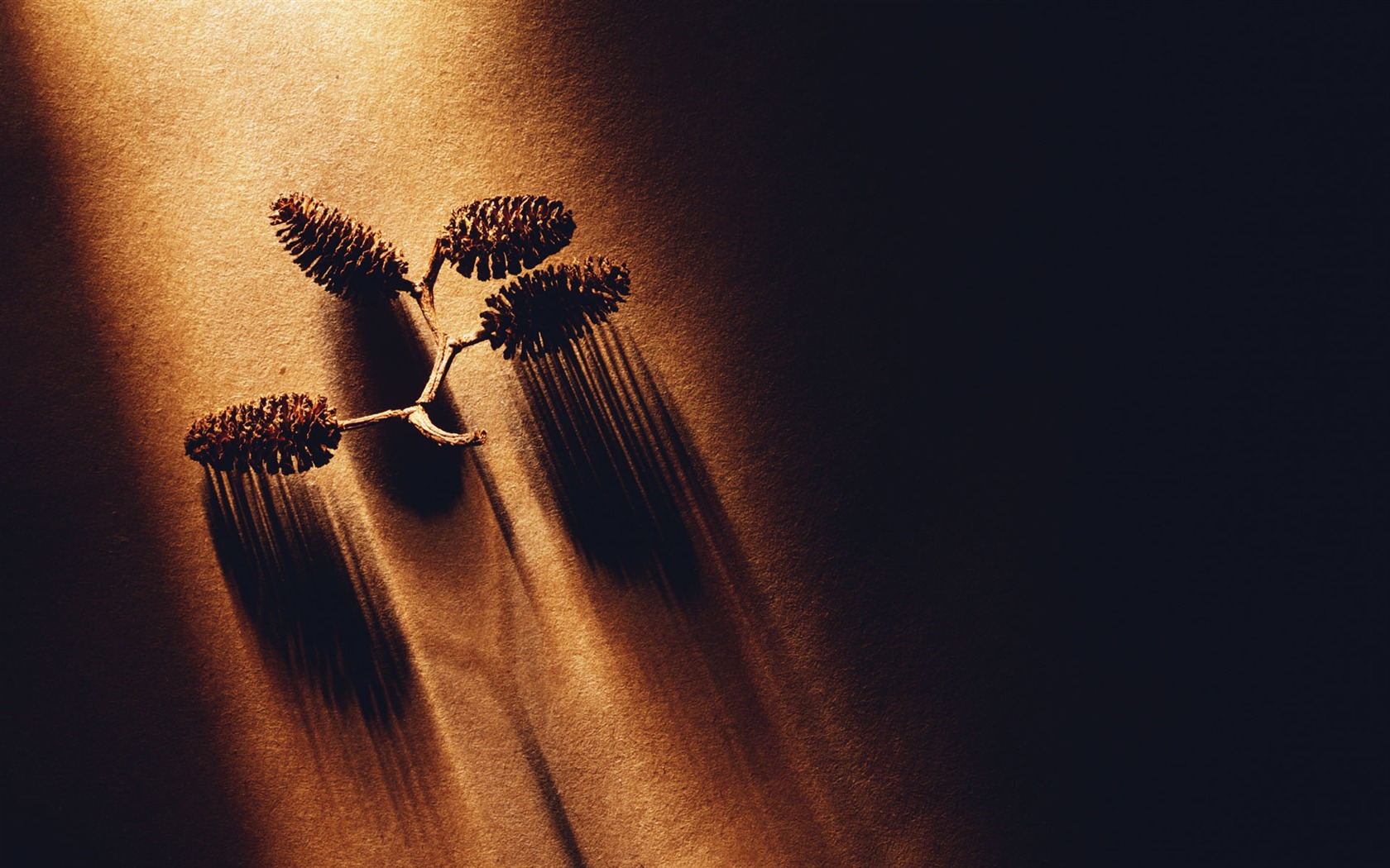 Millennium biological Wallpaper Album (2) #6 - 1680x1050