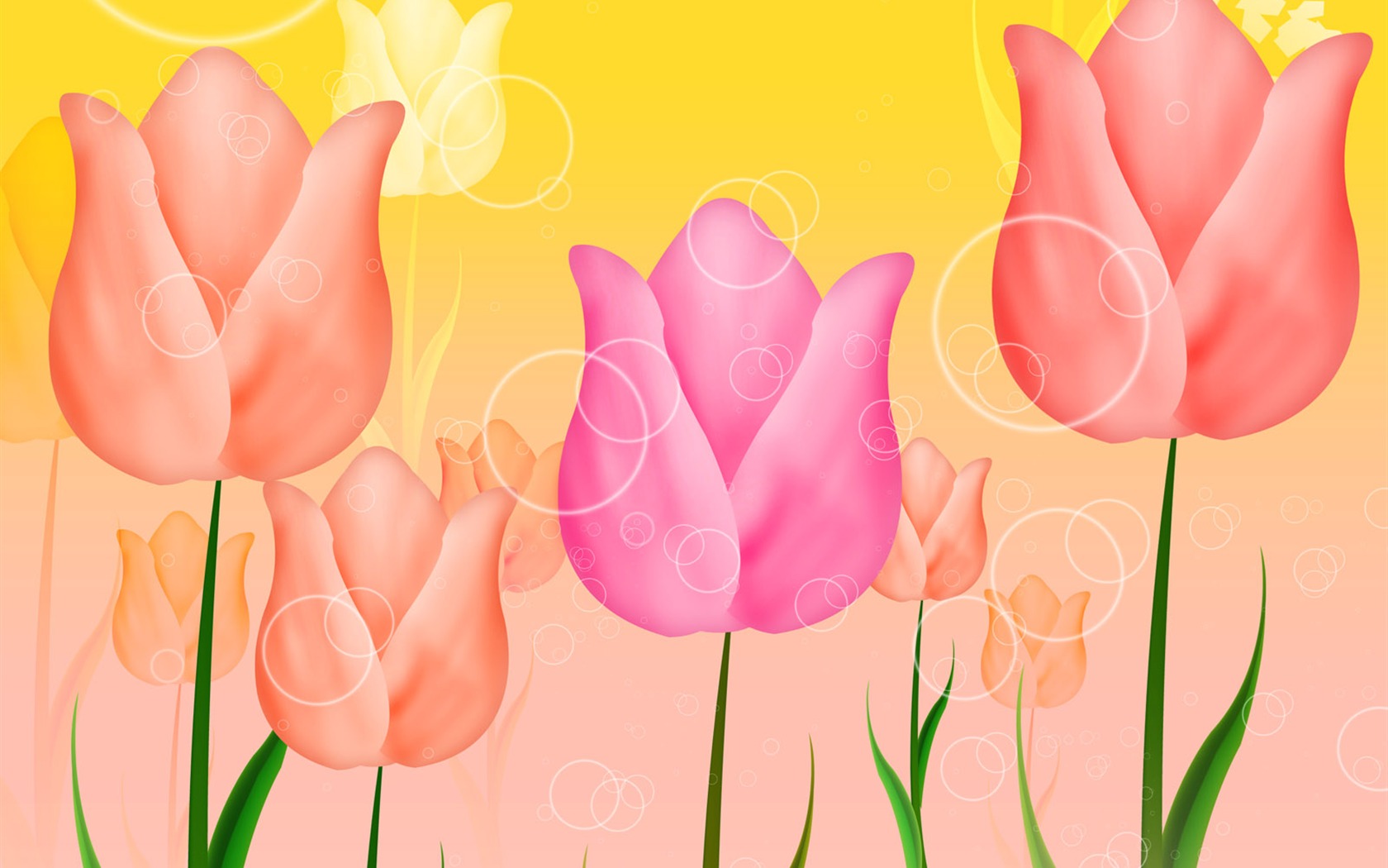 Blumentapete Illustration Design #7 - 1680x1050