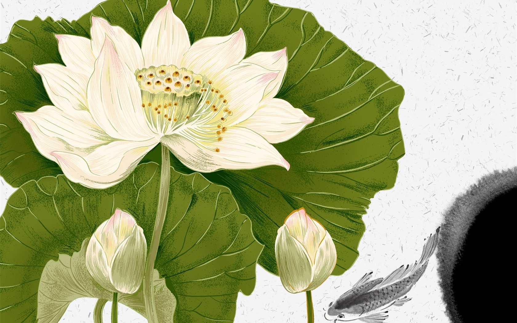 Blumentapete Illustration Design #20 - 1680x1050