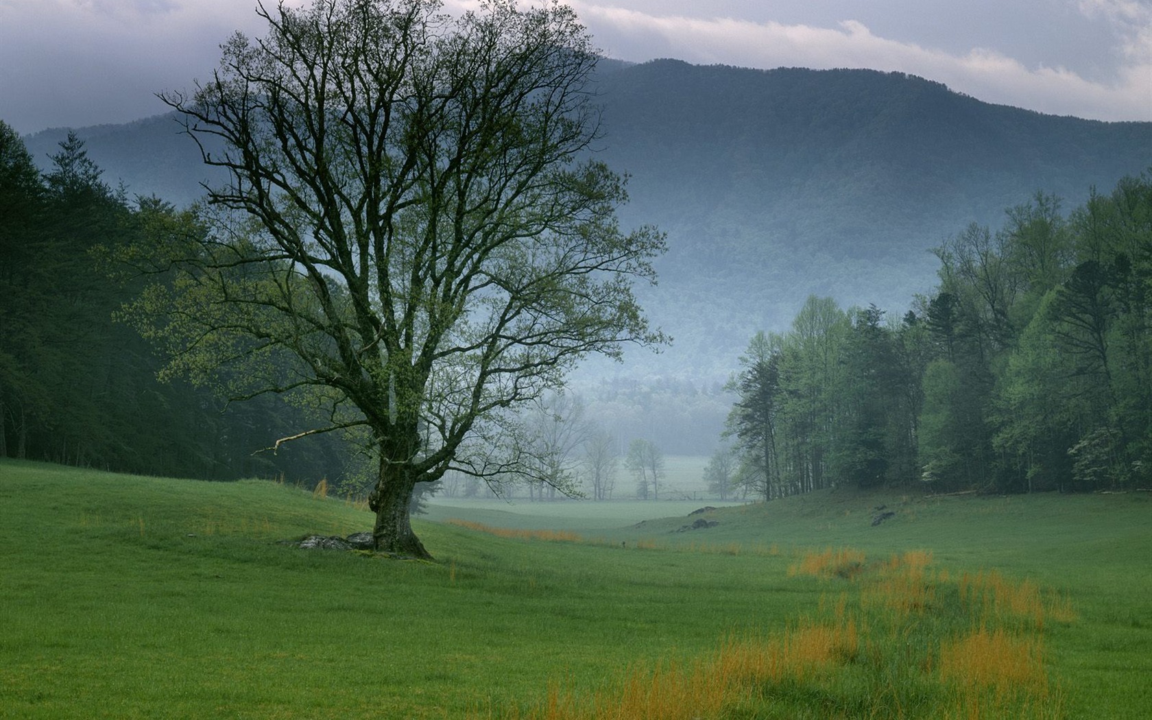 Webshots Scenery Wallpapers (5) #13 - 1680x1050