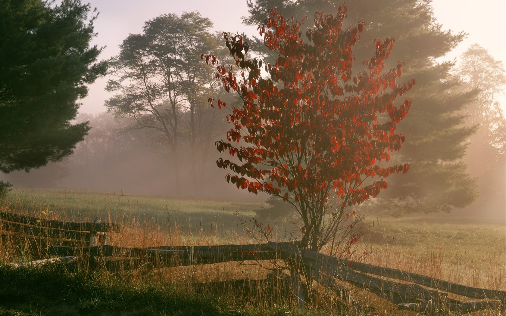 Webshots Scenery Wallpapers (6) #24 - 1680x1050
