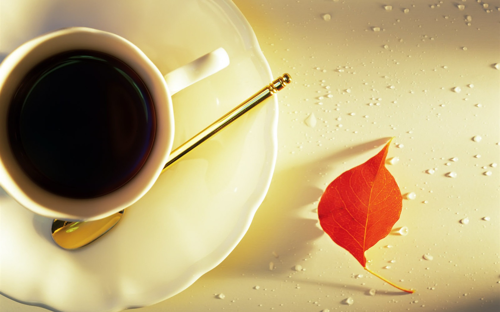 Indoor Still Life Wallpaper Album (1) #19 - 1680x1050