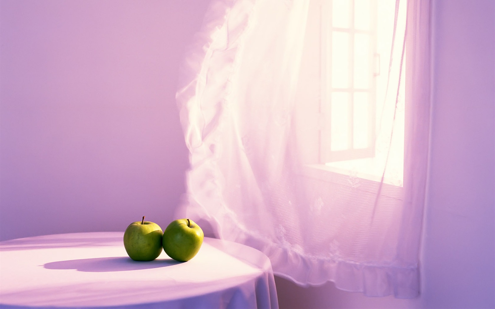 Indoor Still Life Wallpaper Album (2) #9 - 1680x1050