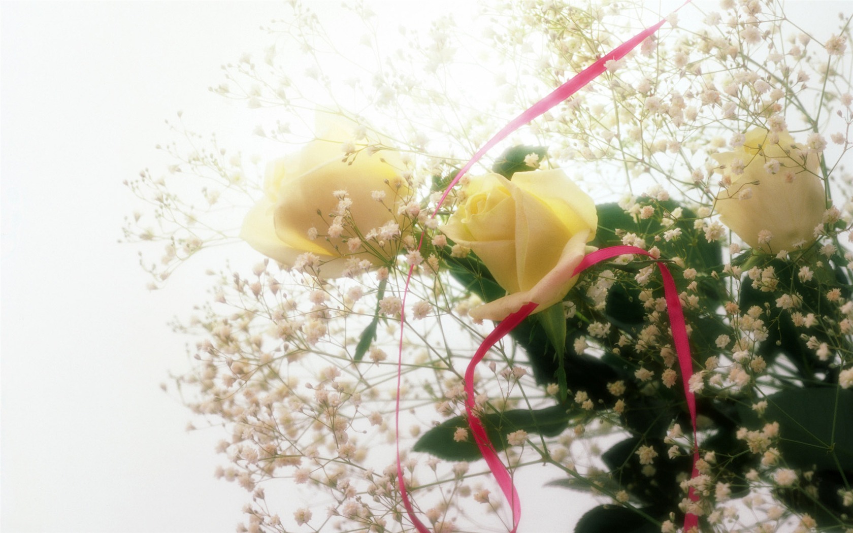 웨딩 꽃 항목 월페이퍼 (1) #7 - 1680x1050