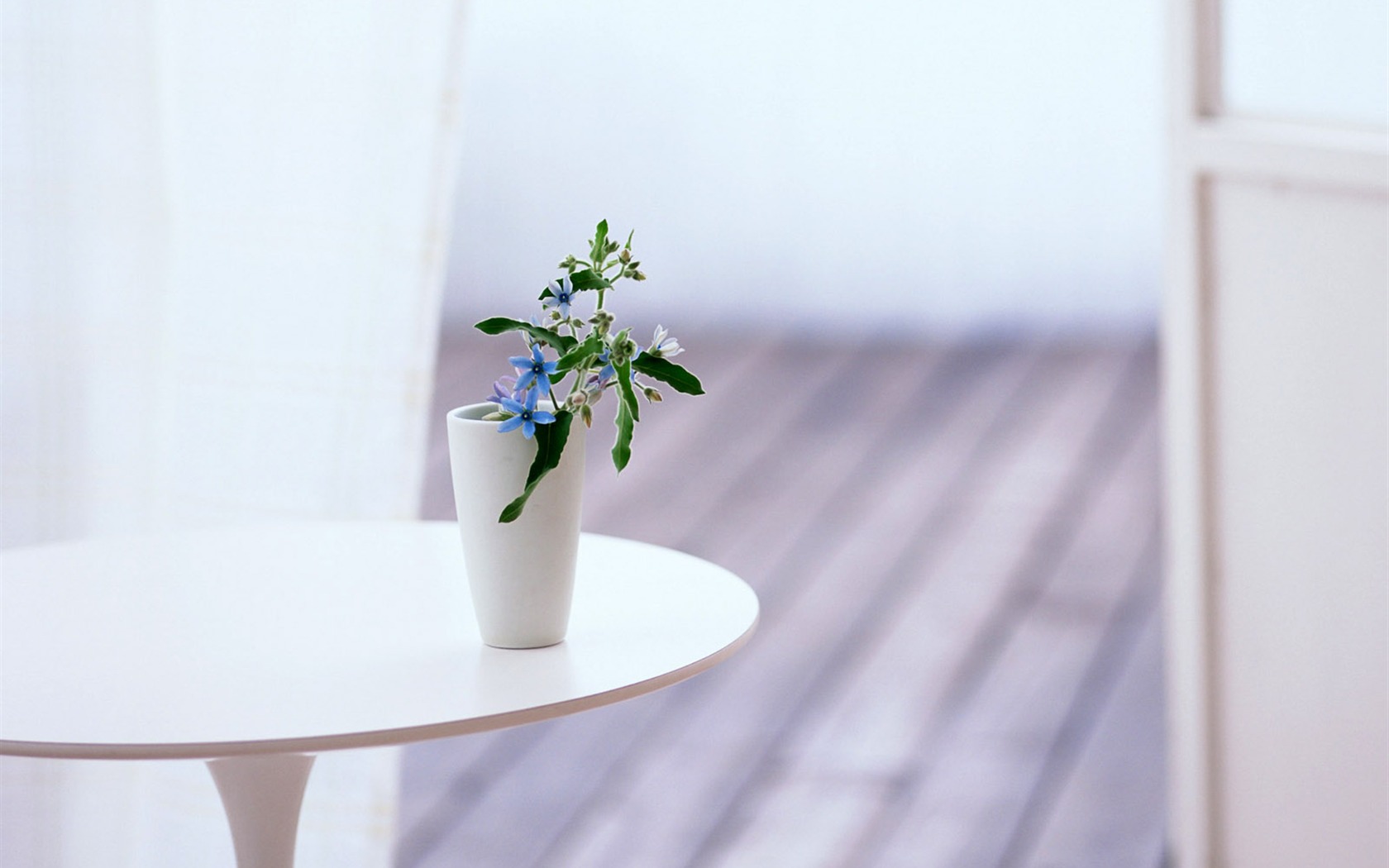 Indoor Still Life Wallpaper Album (4) #7 - 1680x1050