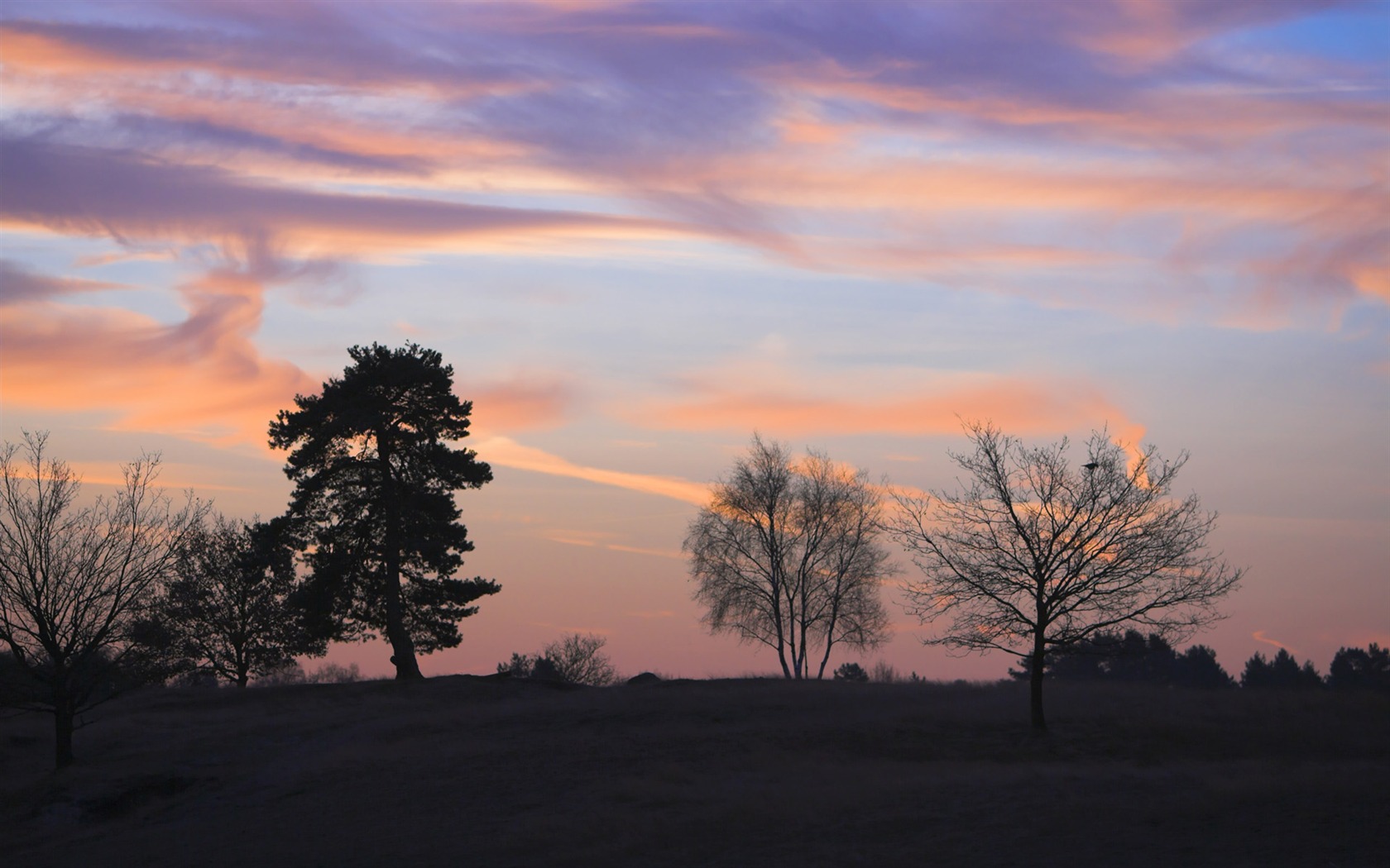 Glow of sunset HD exquisite wallpaper (1) #10 - 1680x1050