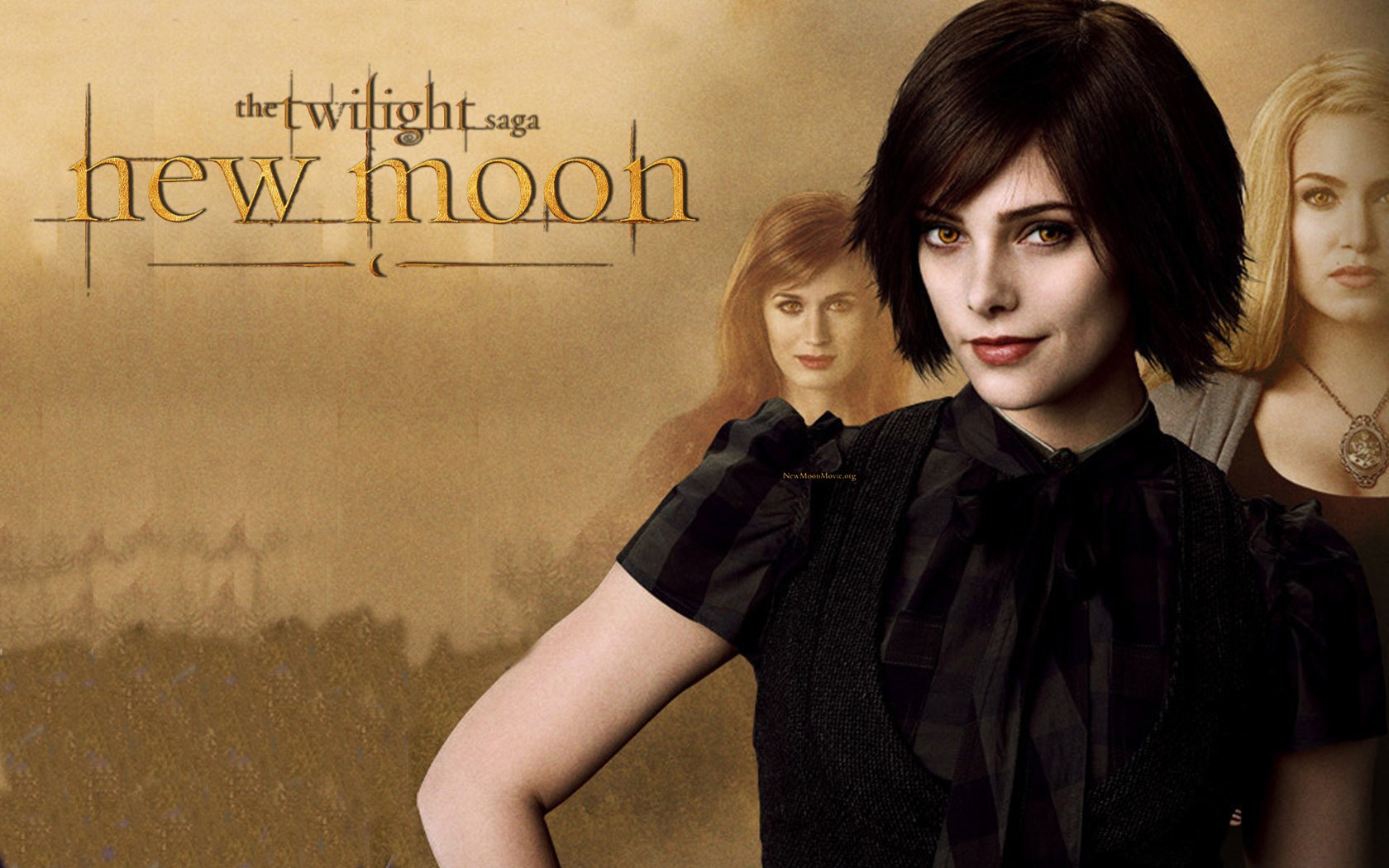 Saga Twilight: New Moon wallpaper album (1) #7 - 1680x1050