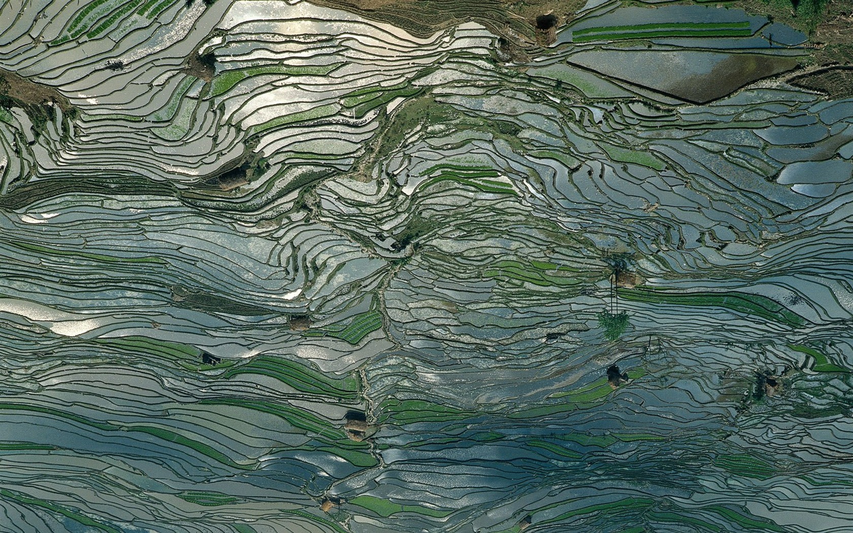 Picturesque wallpaper #11 - 1680x1050