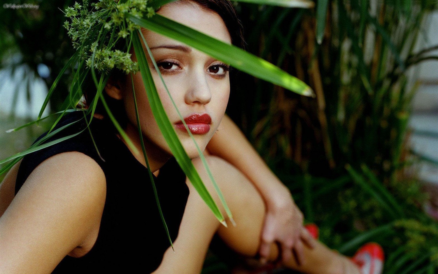 Jessica Alba krásnou tapetu (3) #1 - 1680x1050