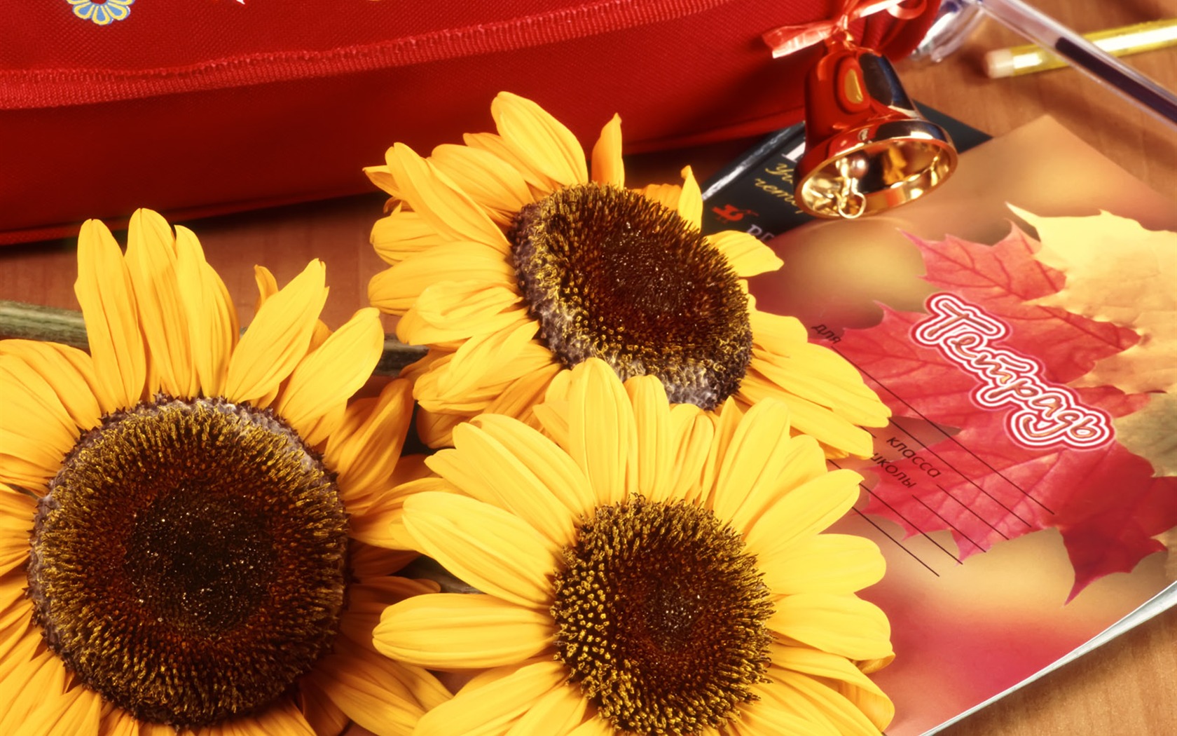 Flowers and Instrument wallpaper #10 - 1680x1050